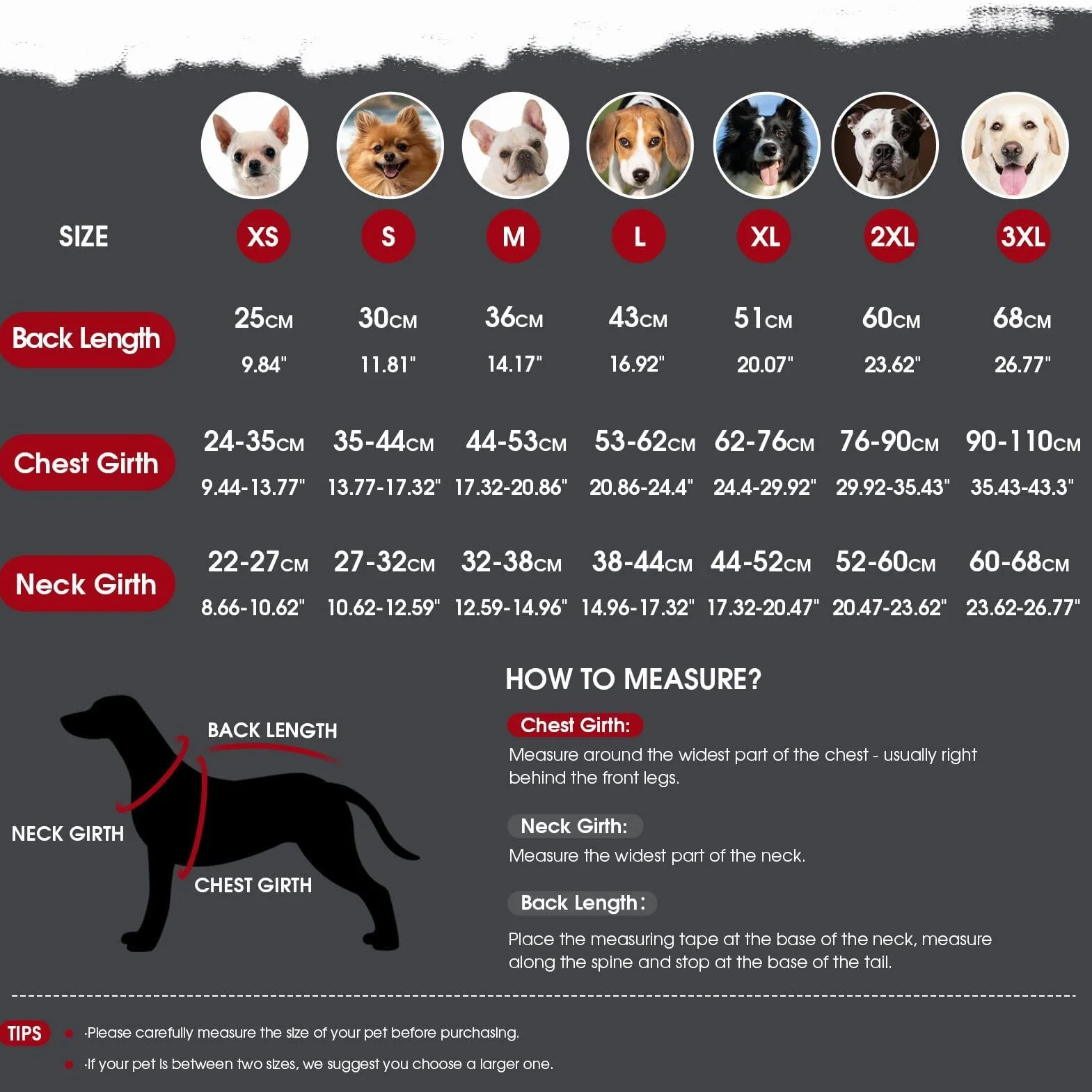 ASENKU Cappotto Cane Impermeabili Invernale, Cappottino Cane Reversibile Antivento Freddo Taglia Media M, Calda Giacca per Cani,Gilet per Cani con Fodera in Lana Protegge Dal Freddo