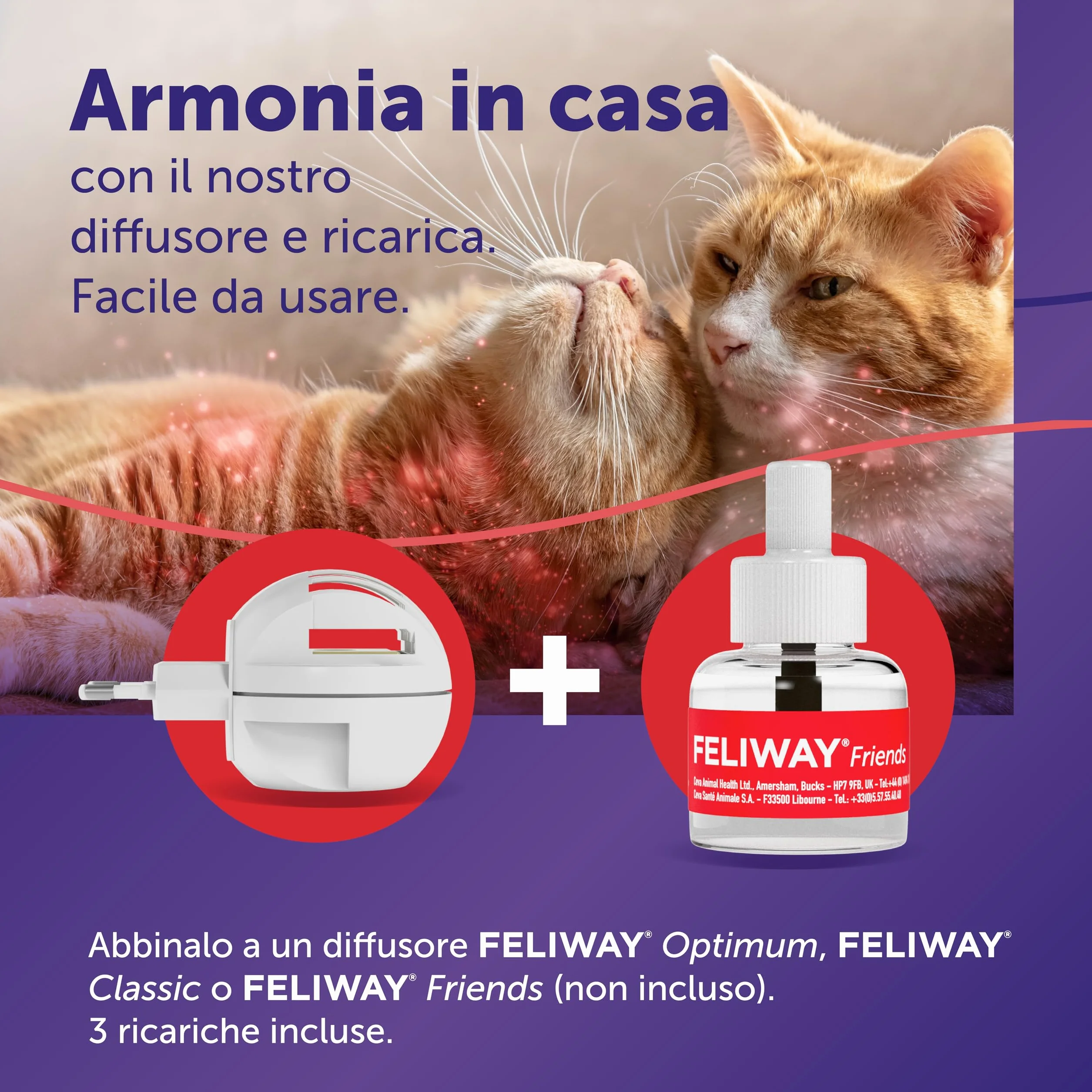 FELIWAY Friends 3x30 Giorni Ricariche Calmanti per Gatti per Diffusore di Feromoni, 48 ml – Aiuta a creare armonia e a ridurre i conflitti nelle case con più gatti. Raccomandato dai veterinari
