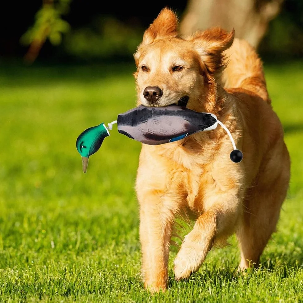 XIAOJUN Il Paraurti Fittizio 'Anatra Imita Il Paraurti 'Anatra Morta, Giocattolo per Addestrare Cuccioli o Cani da Caccia Adulti