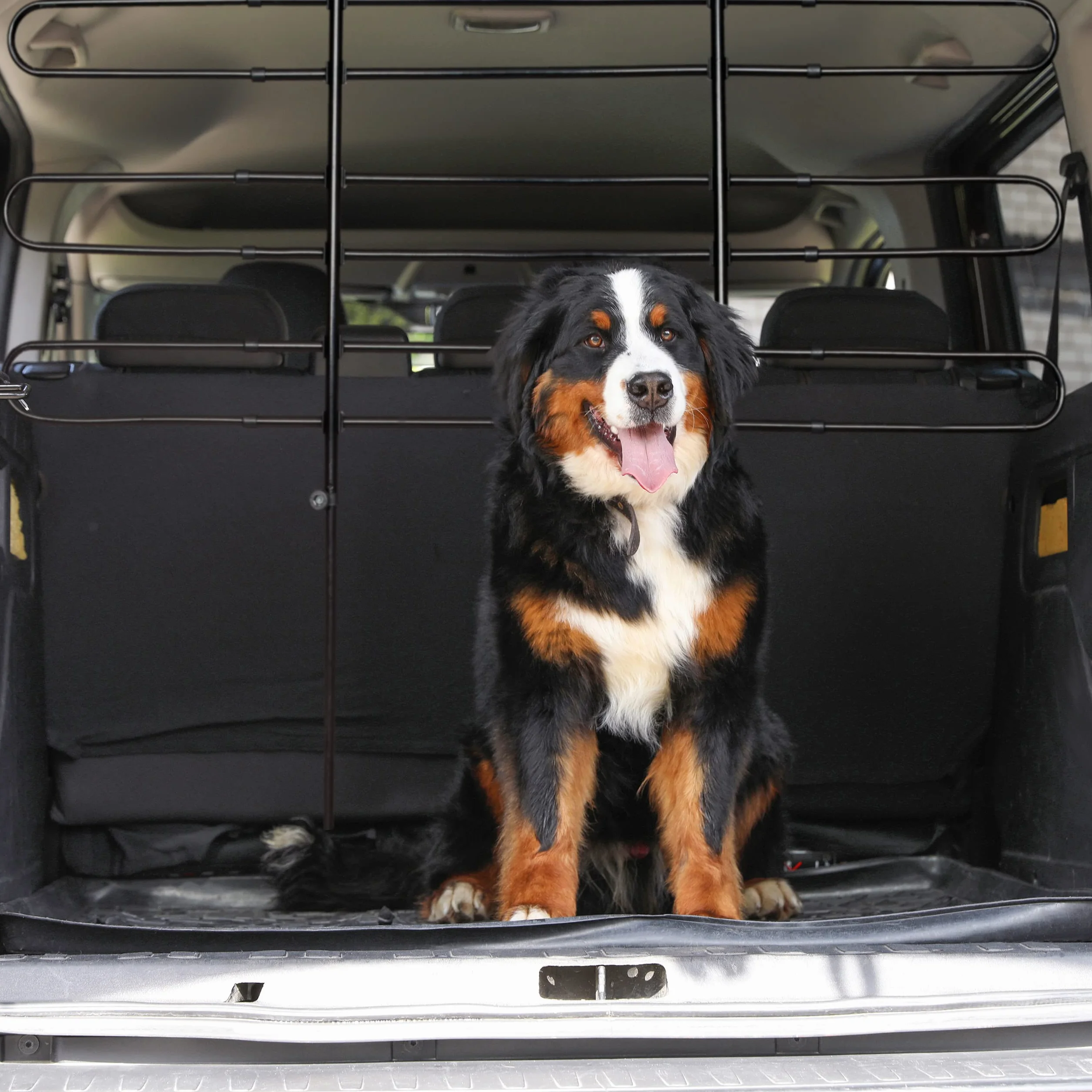 Relaxdays Divisorio Auto per Cani, Griglia Protettiva, da Agganciare, Universale, Altezza & Larghezza Regolabili, Nero
