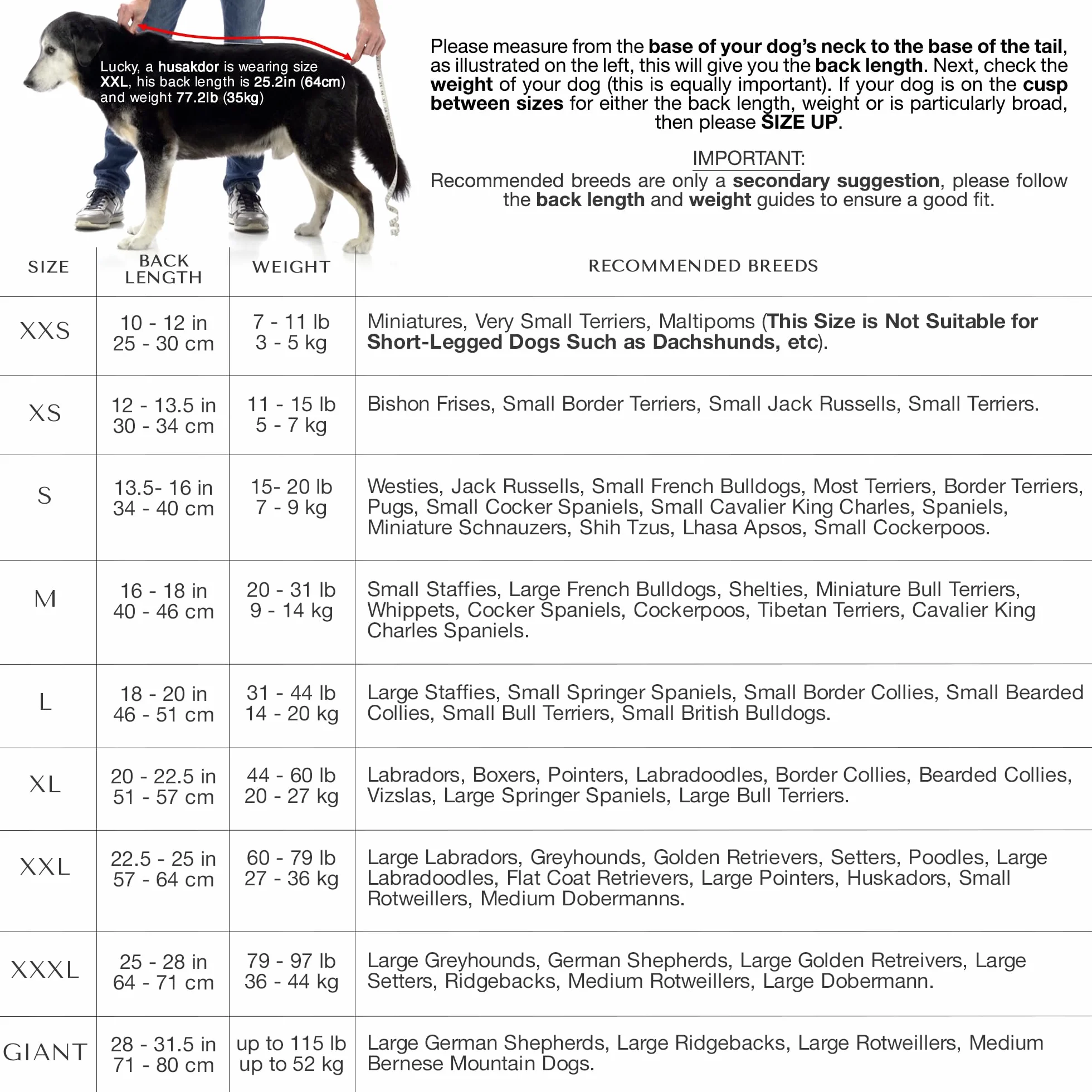 Lucky Paws® Accappatoio per cani UK – Lussuoso asciugamano a doppio strato – asciuga i cani in pochi minuti – accappatoio ultra assorbente e super morbido (S, rosa polvere)