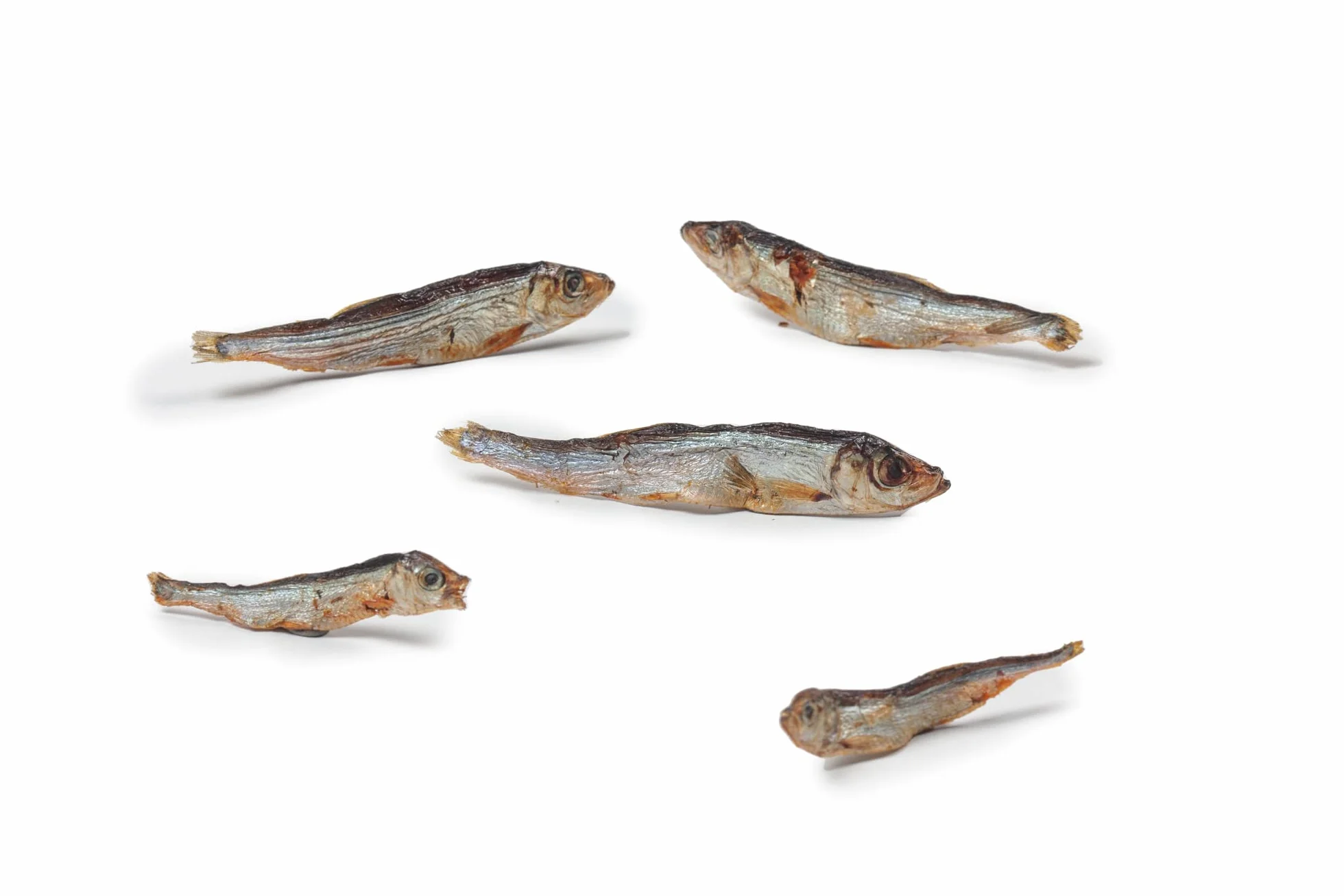 DIBO Pesce, sacchetto da 200 g, piccolo snack o dolcetti per il cibo per cani di DIBO