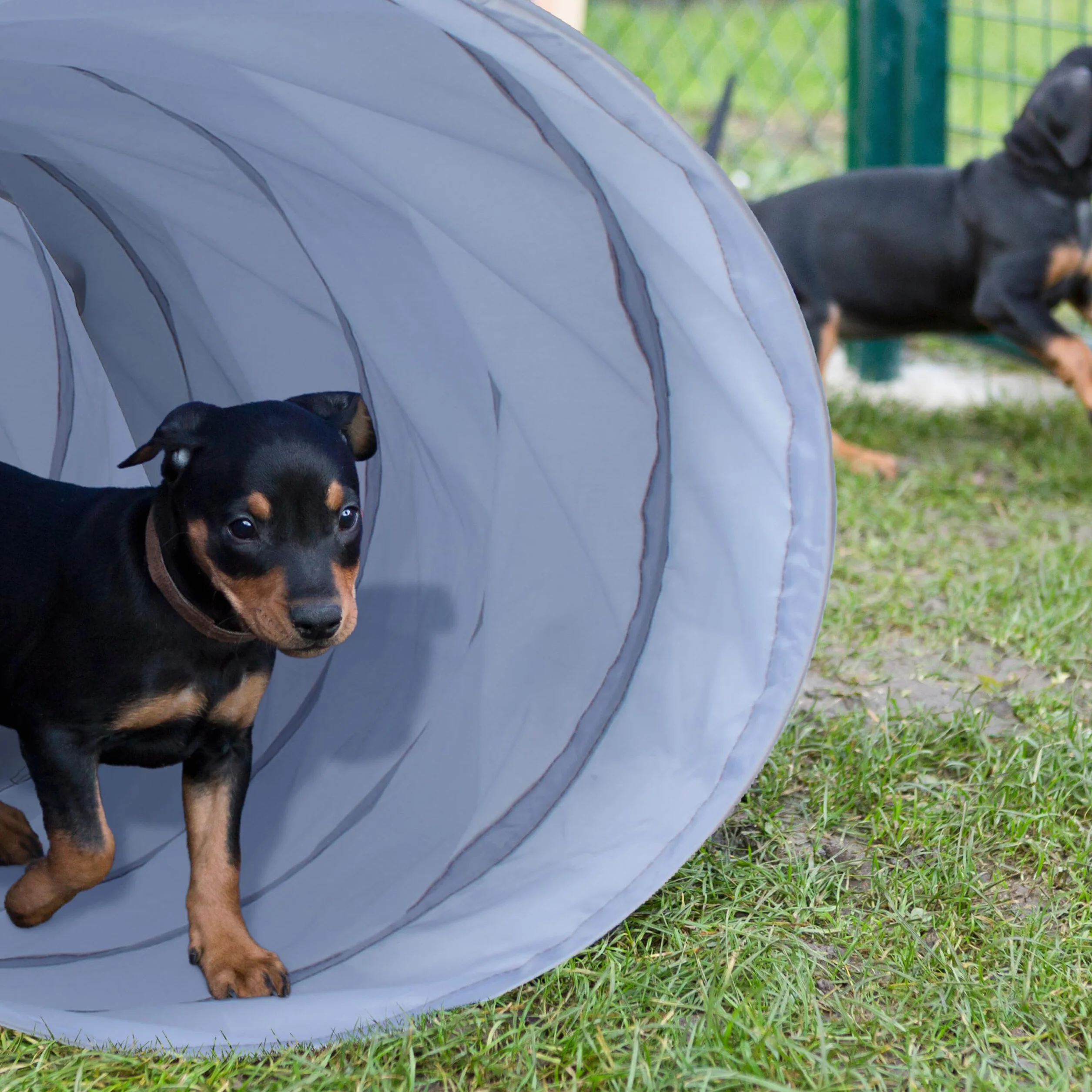 Relaxdays Tunnel per Cani, Tubo da 200 cm Pieghevole, Attrezzatura Agility Dog, Addestramento a Ostacoli, Ø 40cm, Grigio