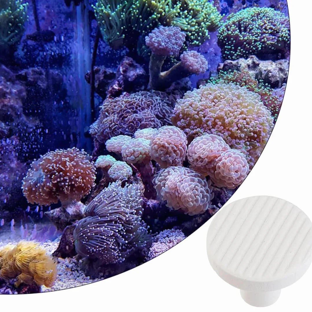 Connettori in Acrilico per Acquario Coral Frag Stand Base Rack Supporto (Bianco) 10 Pezzi