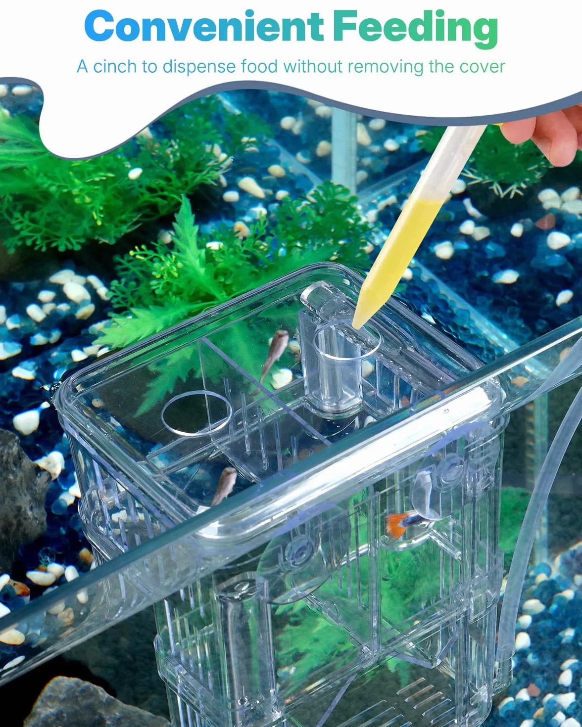 Pawfly Scatola per allevamento di pesci in plastica trasparente per piscina di pesce, incubatrice per pesce, gamberetti, piccola scatola isolante per pesci aggressivi