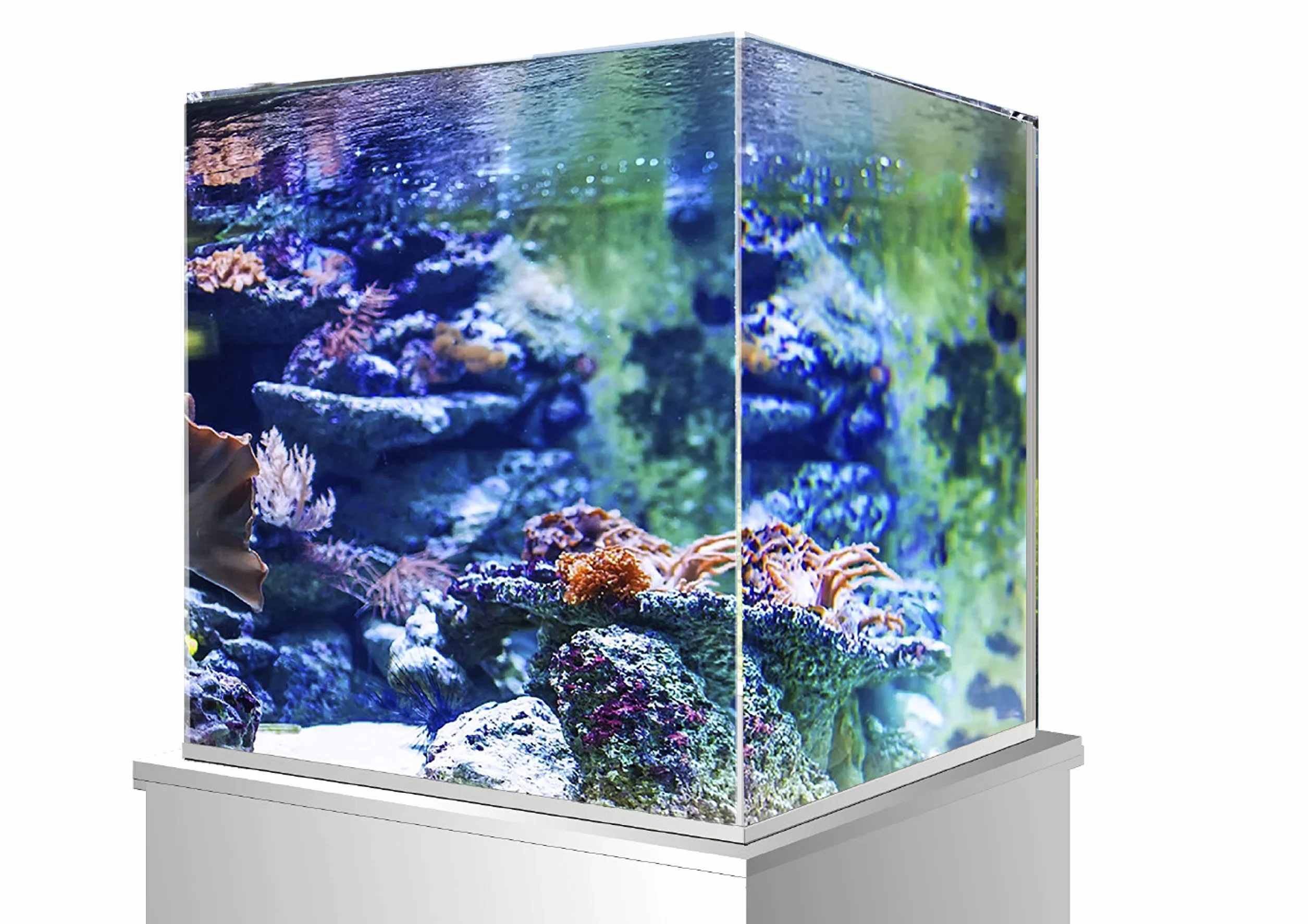 Amtra Nanoscaping - Vasca Acquario 21 Litri - Teca Vetro Extra Chiaro 36x23x26 cm - Vaschetta per Pesci Rossi o Come Tartarughiera Per Tartarughe d'Acqua con Tappetino Ammortizzante Incluso