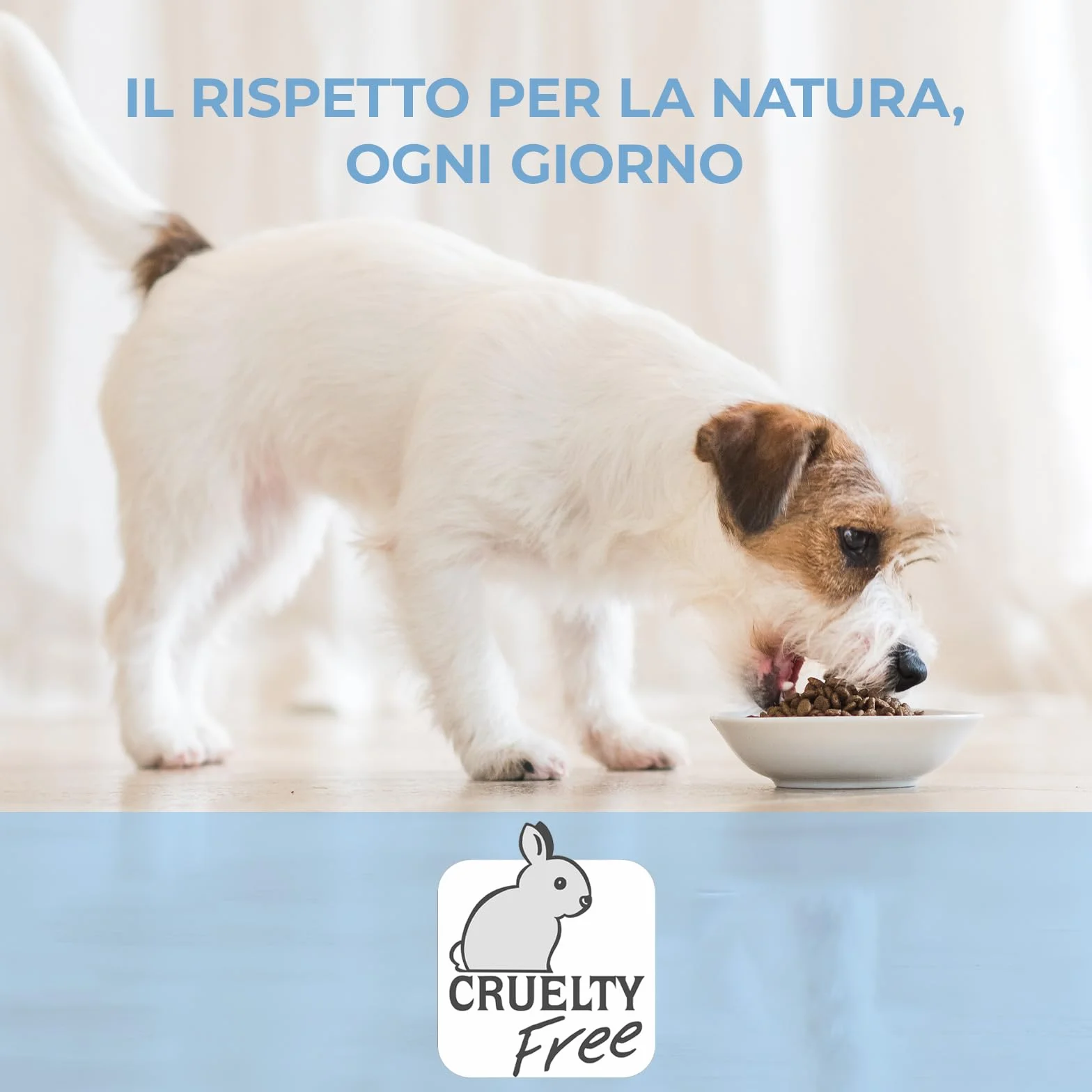Adoc Naturally Premium, Alimento Umido Complementare per Cani, Filetti di Pollo con Manzo, 24 Lattine da 170 g, in Gelatina, Senza Conservanti e Coloranti