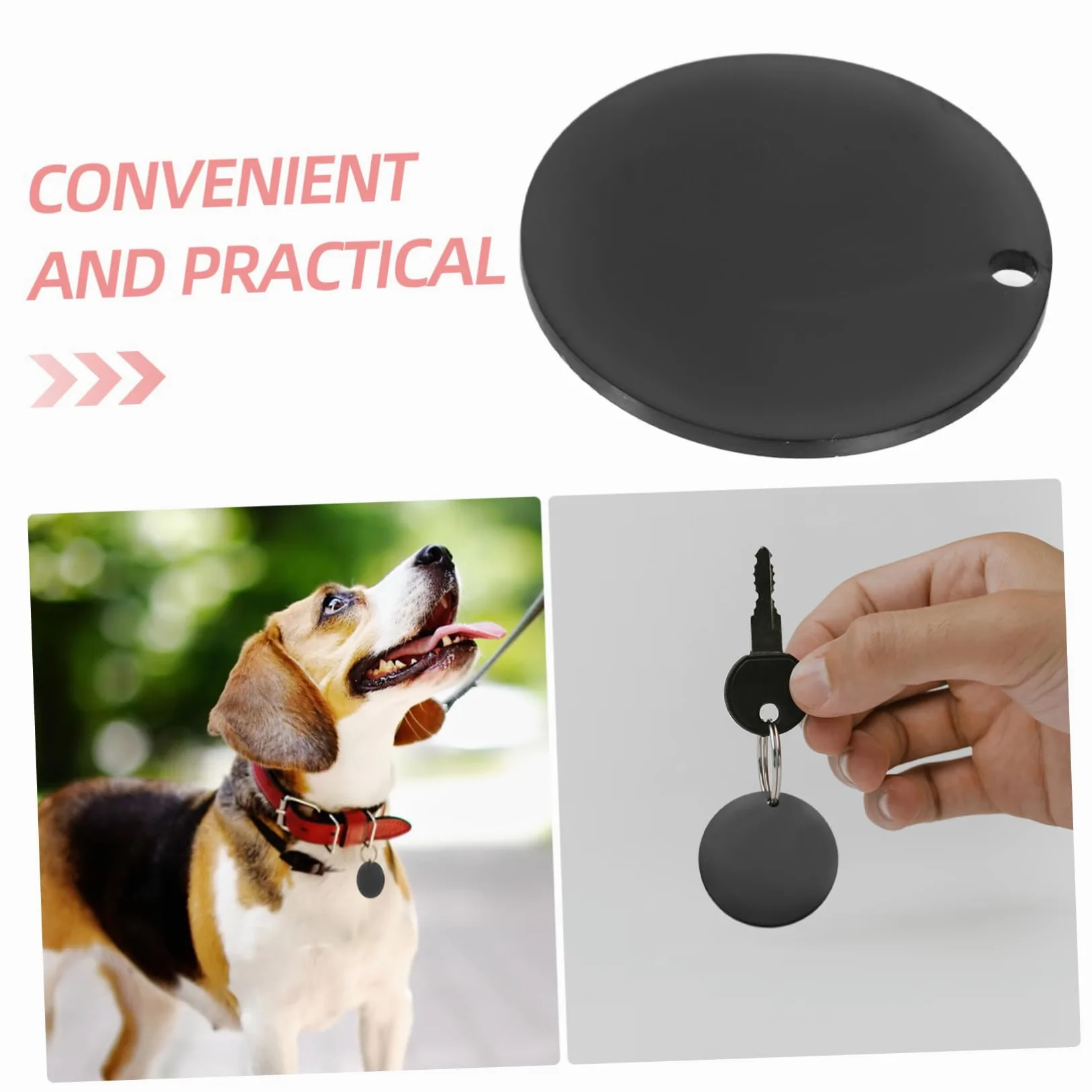 Angoily 4 Set Di Animali Domestici Piccola Etichetta Chiave Spazi Vuoti Per Medagliette Per Cani Targhette Identificative Del Cane Tag Del Cane Nero Acciaio Inossidabile 6 Pezzi*4