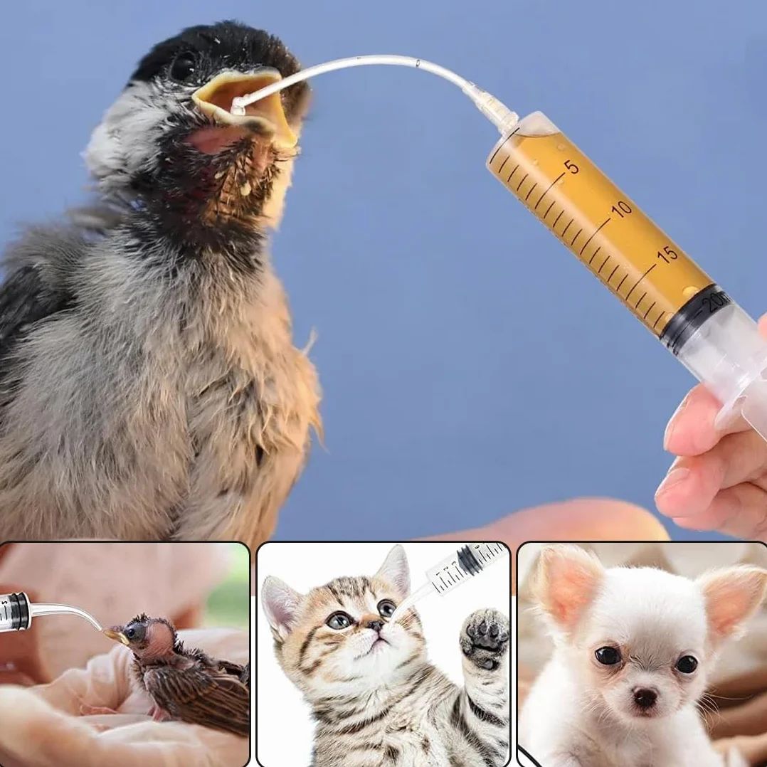 WUSJCOF 6 Pezzi Strumento per Alimentazione Manuale, Alimentatore per Pappagalli e Pulli, Tubo per Veloce, Siringhe per Uccelli Domestici Giovani,Contiene 1 tubo da iniezione da 10 ml