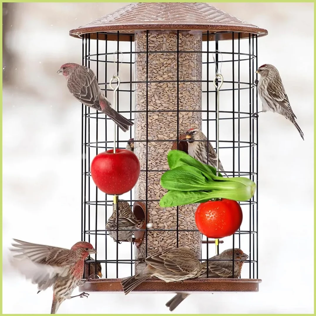 4 Pezzi Spiedino Portafrutta per Pappagalli, Mangiatoia per Pappagalli, Accessorio Appeso alla Gabbia per Foraggiamento del Cibo, Portafrutta per Uccelli, Giochi per Pappagalli, Acciaio Inox