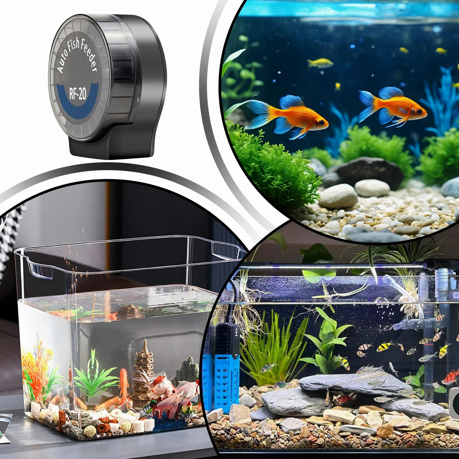Alimentatore Automatico Per Acquario 6 Timer Alimentatore Automatico per | Alimentatore per Pesci Programmabile per Tartarughe Betta Axolotl Gamberi Acqua Dolce e Salata