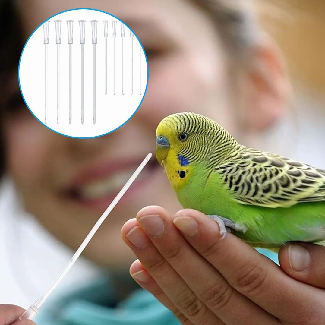 10 Pz Alimentatore Pappagalli Trasparente Uccelli Alimentazione Tubi Veloce Alimentazione Tubo Siringa per Bambino Pet Uccelli