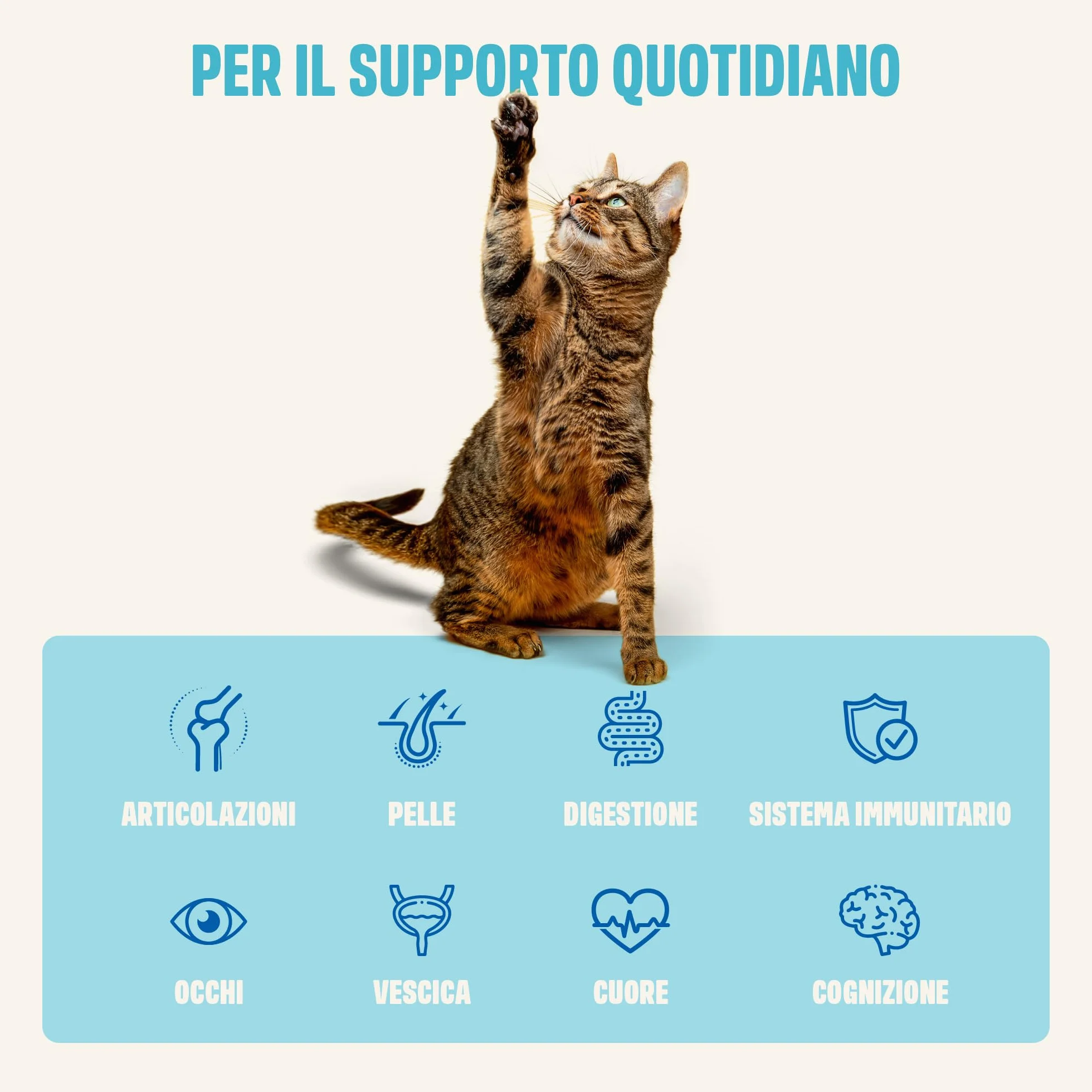 ivvi Essenza Multivitaminica per Gatti – snack cremoso con vero tonno – con vitamine del gruppo B, vitamine A, D3 ed E, biotina, L-lisina, magnesio e cozza verde – 30 x 15 g
