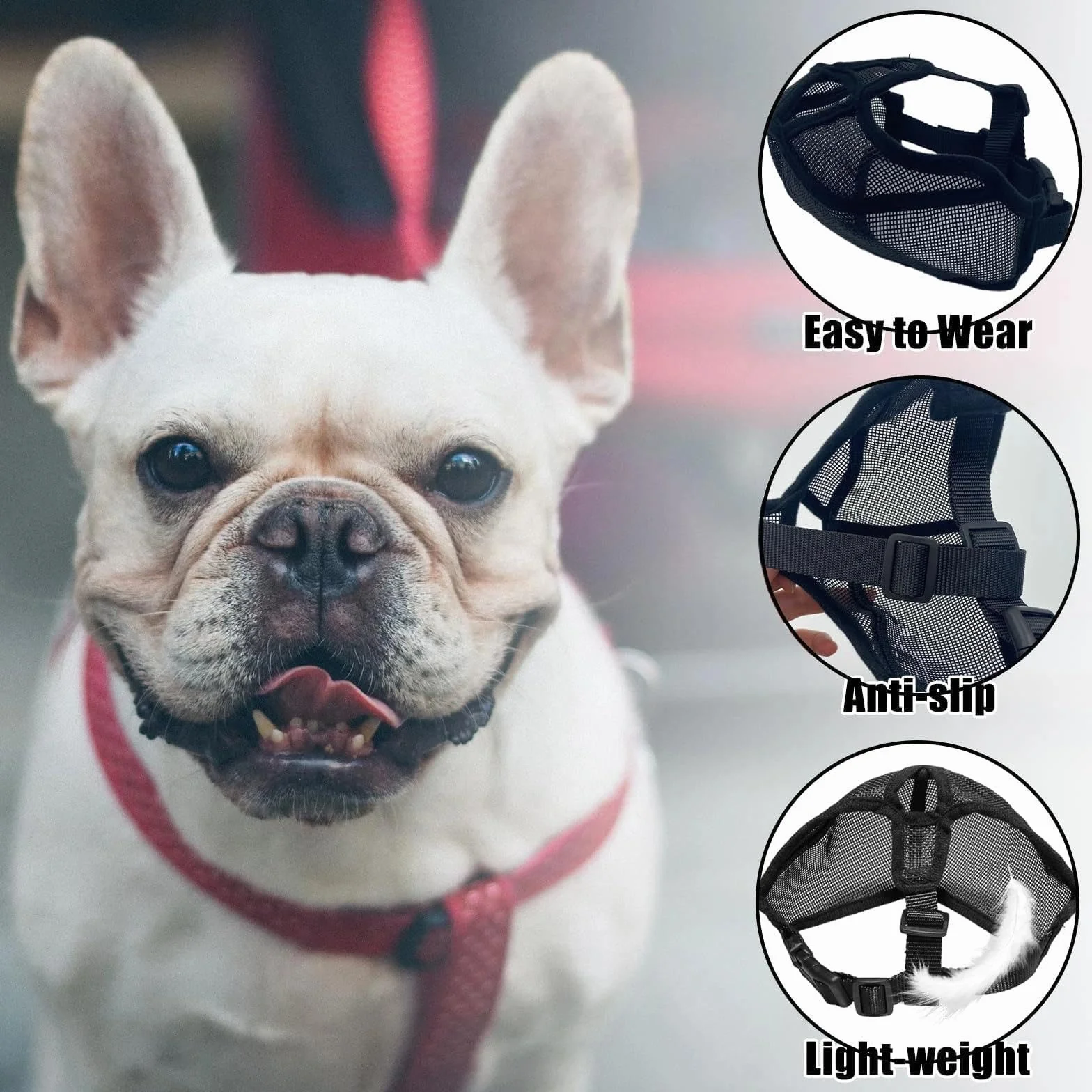 Museruola per Bulldog Francese e Cani a Muso Corto, Museruola per Bulldog Francese Muso Corto, Rete Regolabile per la respirazione, Anti mordere, abbaiare(M, Nero)