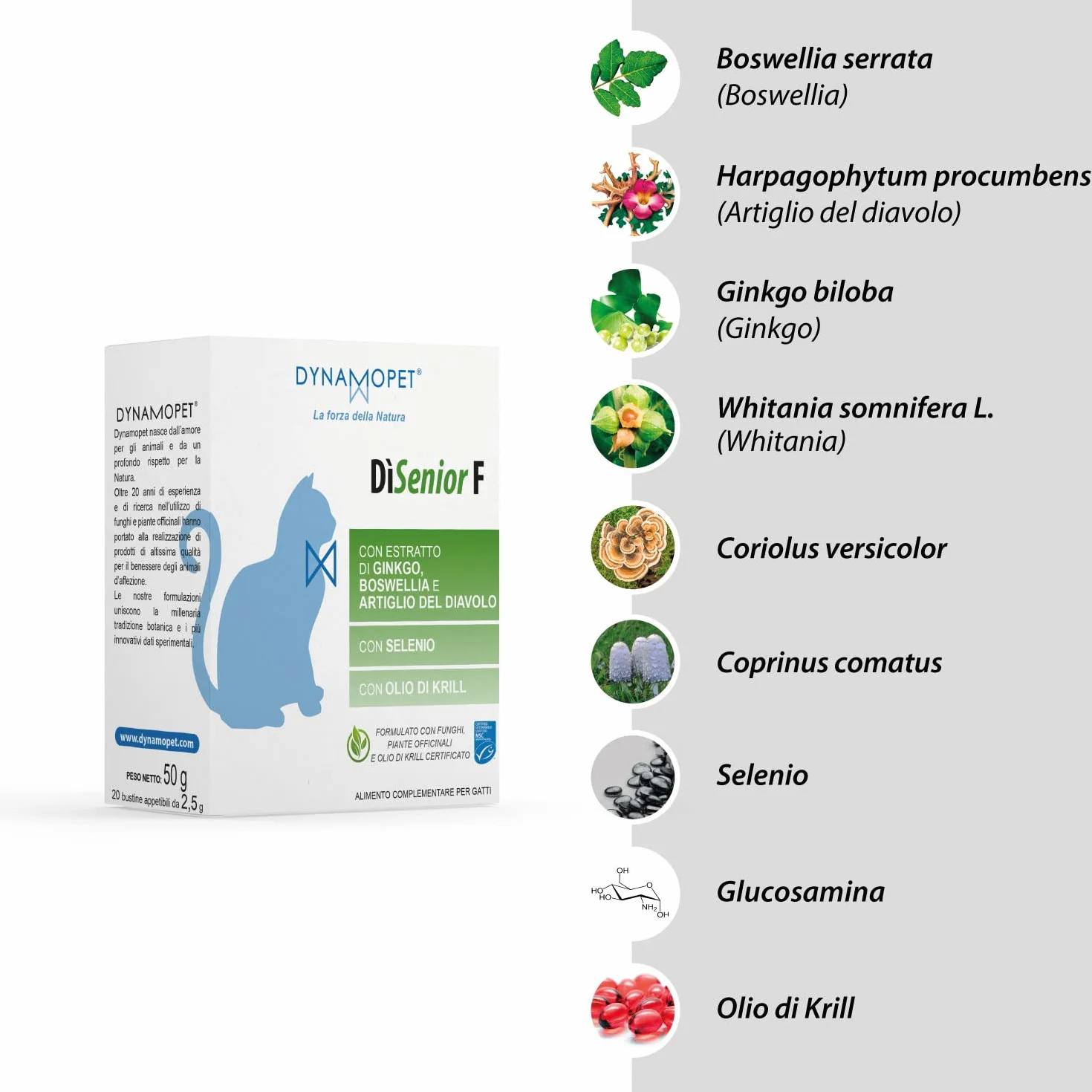 DìSenior F - Alimento Complementare per Gatti Anziani, Confezione 20 Stick da 2,5 g - uno Stickogni 5 kg di Peso dell'Animale