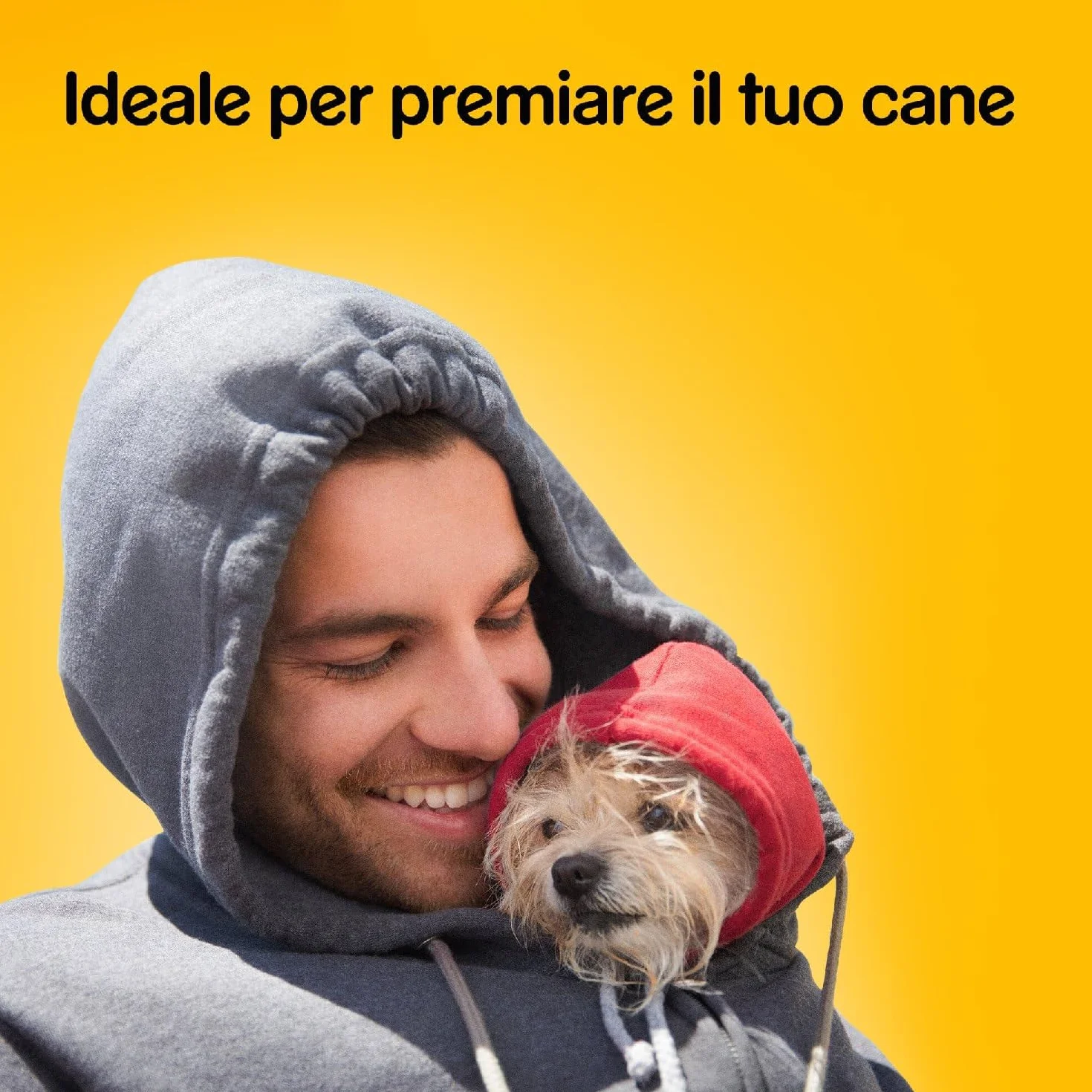 Pedigree Markies Snack, Biscotti per Cane, Confezione da 12 x 500 g