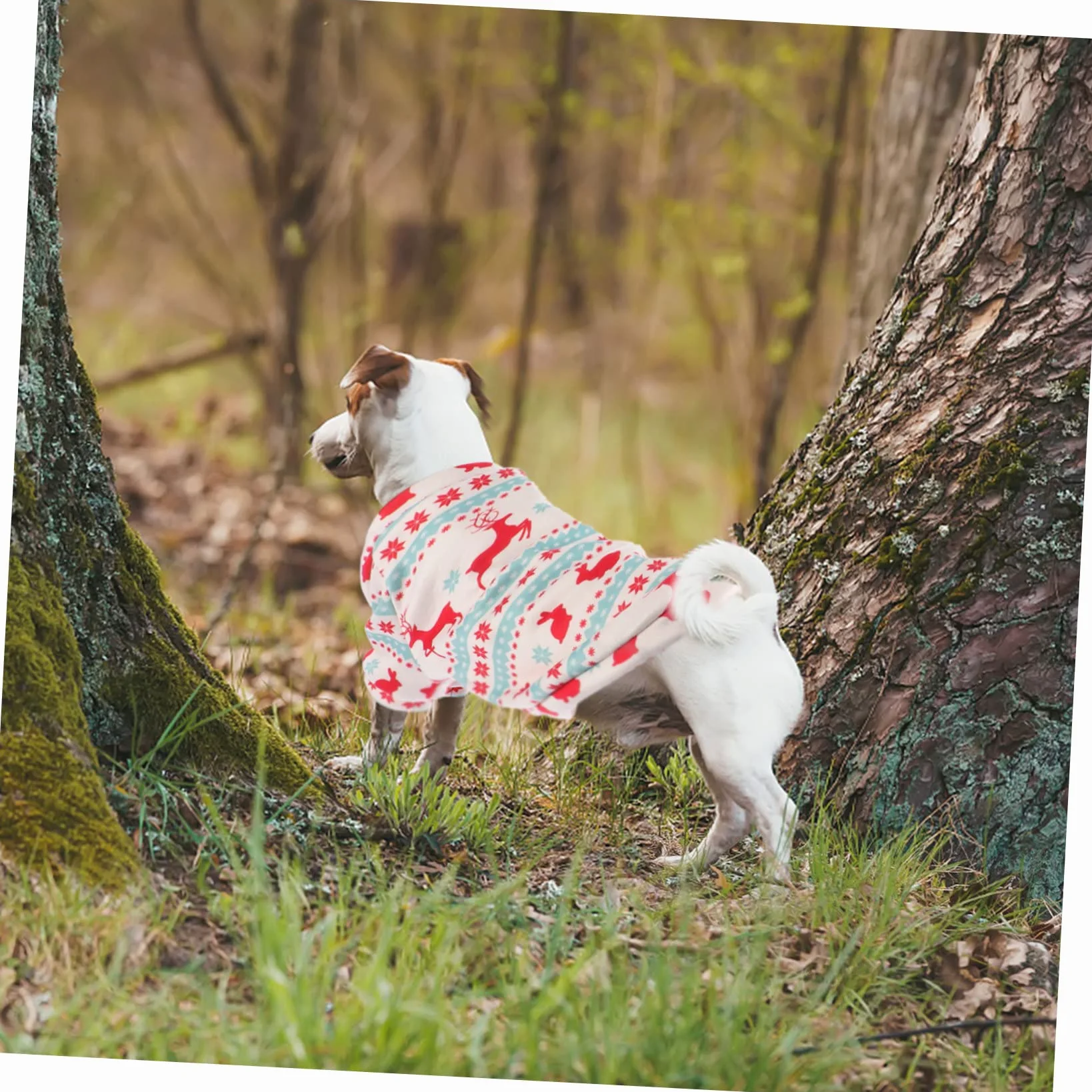 BESPORTBLE 1pezzi Vestiti per Cani Costume di Natale per Animali Domestici Abbigliamento Natalizio per Cani Resistente e Confortevole Compatto e Elegante per Feste e Passeggiate