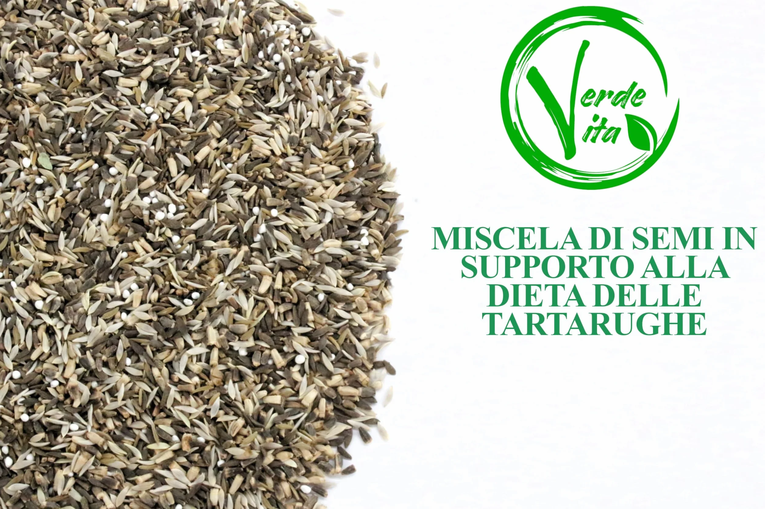 Semi Erba Per Tartarughe Di Terra - Miscuglio Semi In Supporto Alla Dieta Delle Tartarughe - 2 BUSTE