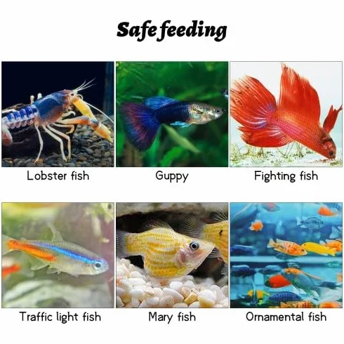 Amexo Sala Parto Acquario, 1,5 L Trasparente Acquario Acquario per Pesci Rossi Scatolaper Incubatrice per Gamberetti Guppy