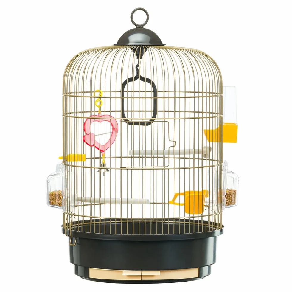 Ferplast Gabbia per Uccelli REGINA Gabbia per Canarini, Bengalini, Cocorite, in Metallo, Accessori inclusi Posatoi Mangiatoie Girevoli, 32,5 x 32,5 x h 49 cm.