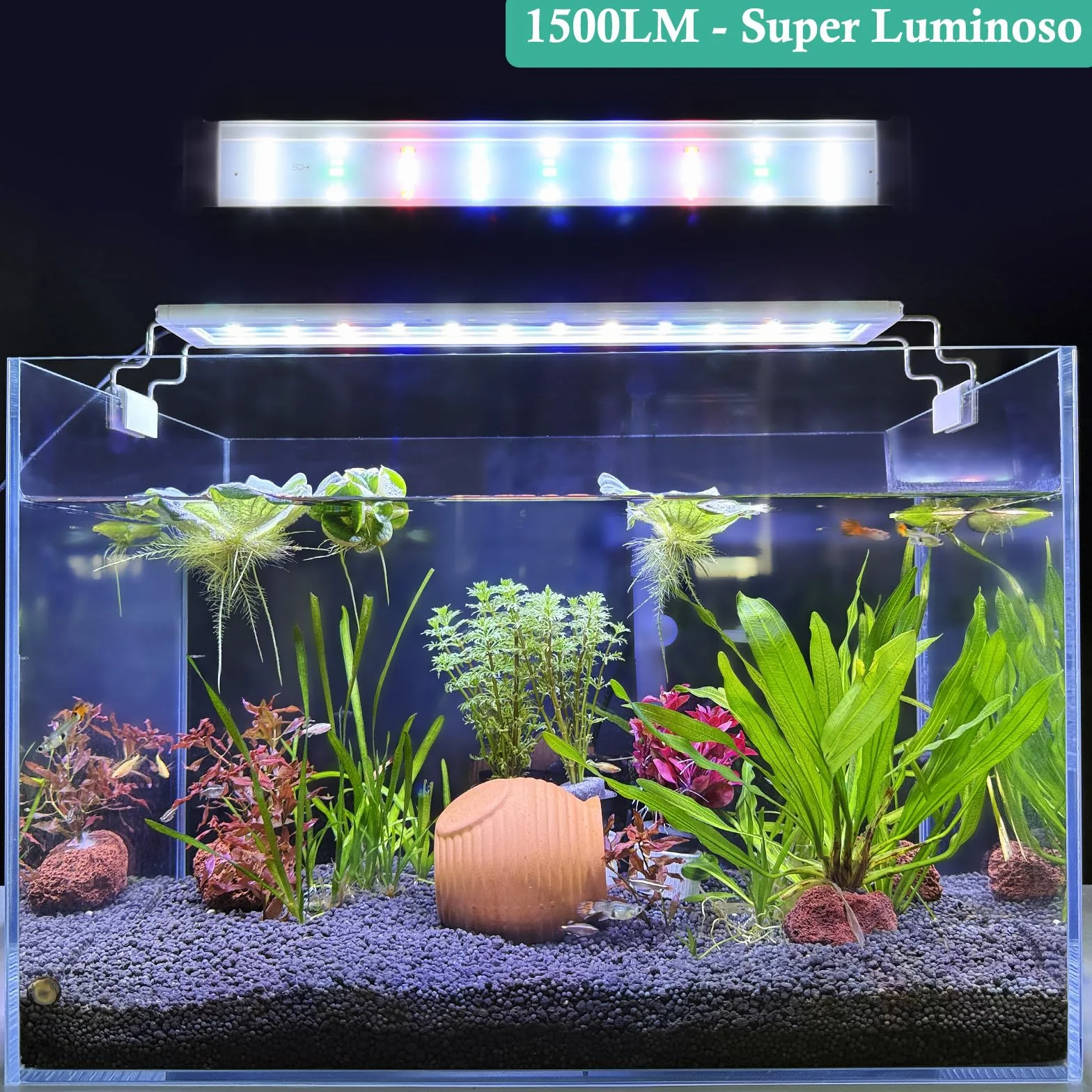 Illuminazione LED per Acquario con Timer, Lampada per Piante Acquatiche a Spettro Completo, Classica Luce per Acquario con LED RGB, con Staffe Regolabili Stabili (30-50cm)