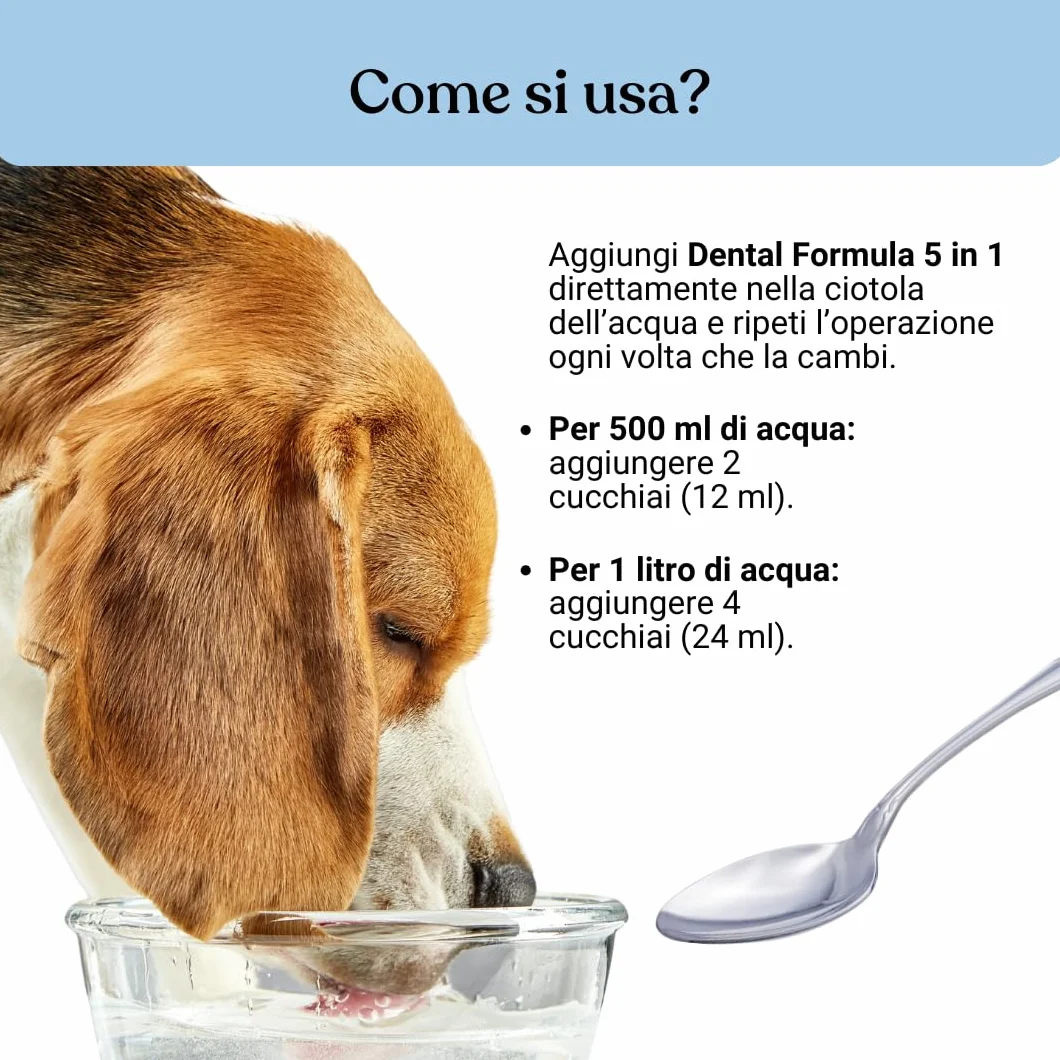 Bau Dental Formula 5 in 1 per Cani 250ml Additivo Acqua Igiene Orale Quotidiana