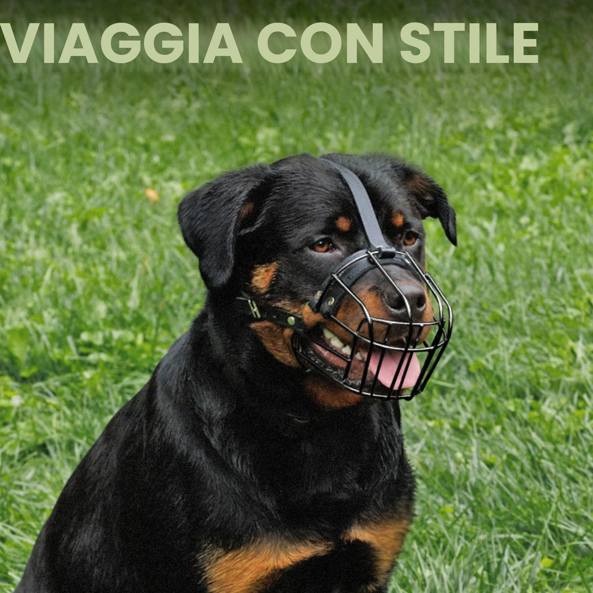 Rottweiler Dog Muzzle (nero)
