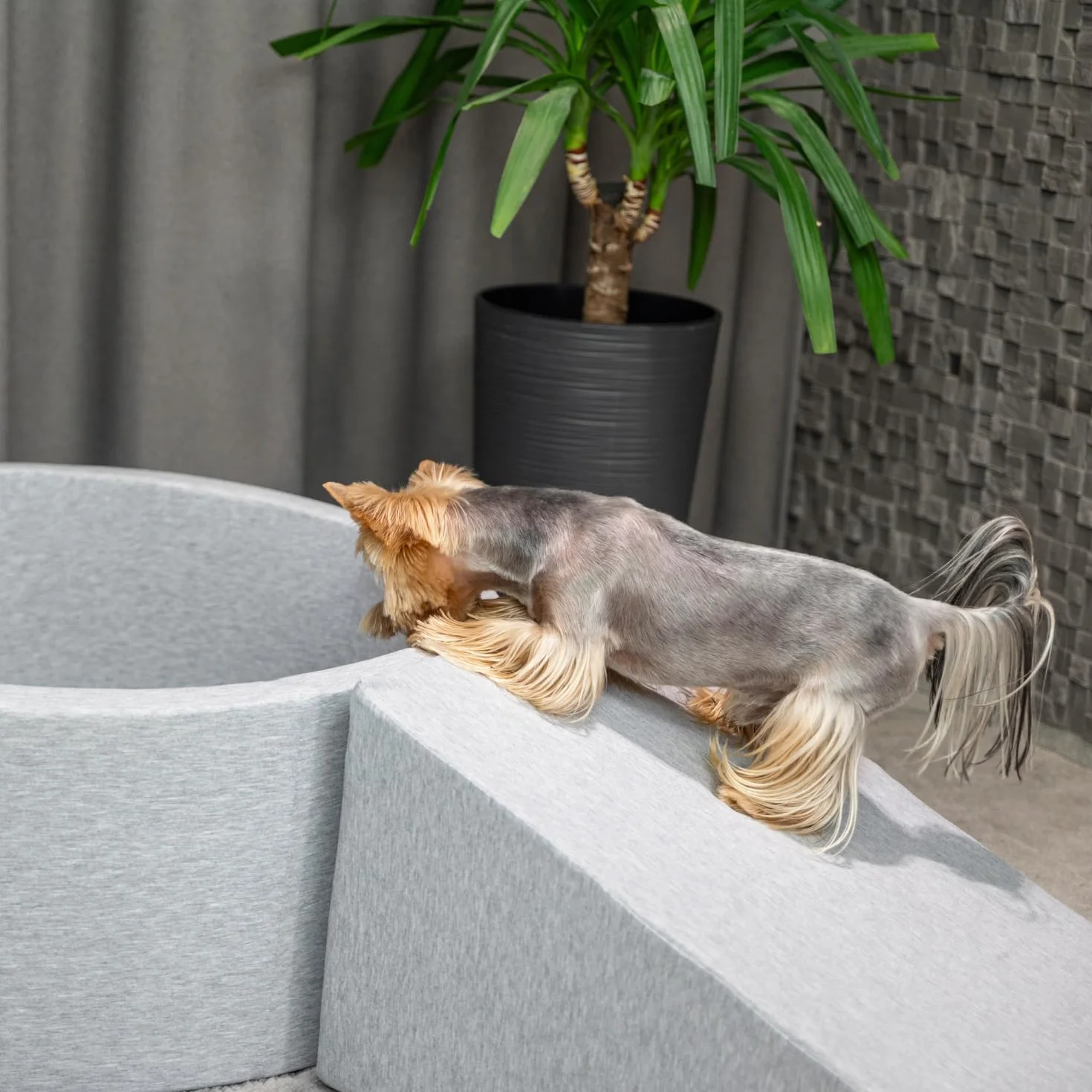 Rampa Per Cani E Gatti, Schiuma Scale Per Animali, Rivestimento Sfoderabile E Lavabile, Grigio Chiaro