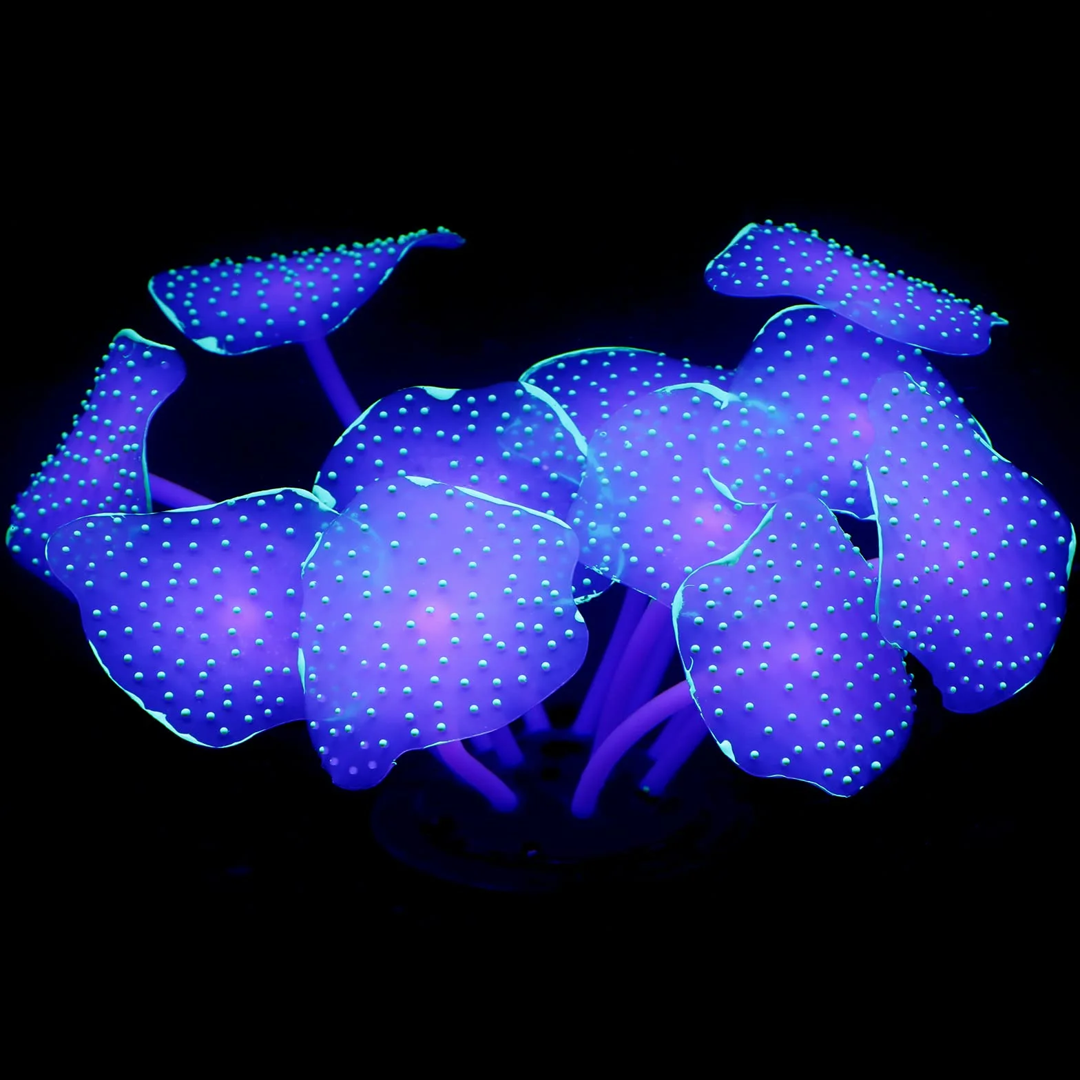 Pawfly Corallo Pianta Decorazioni Verde Palla Forma Incandescente Ornamenti Artificiali Acquario