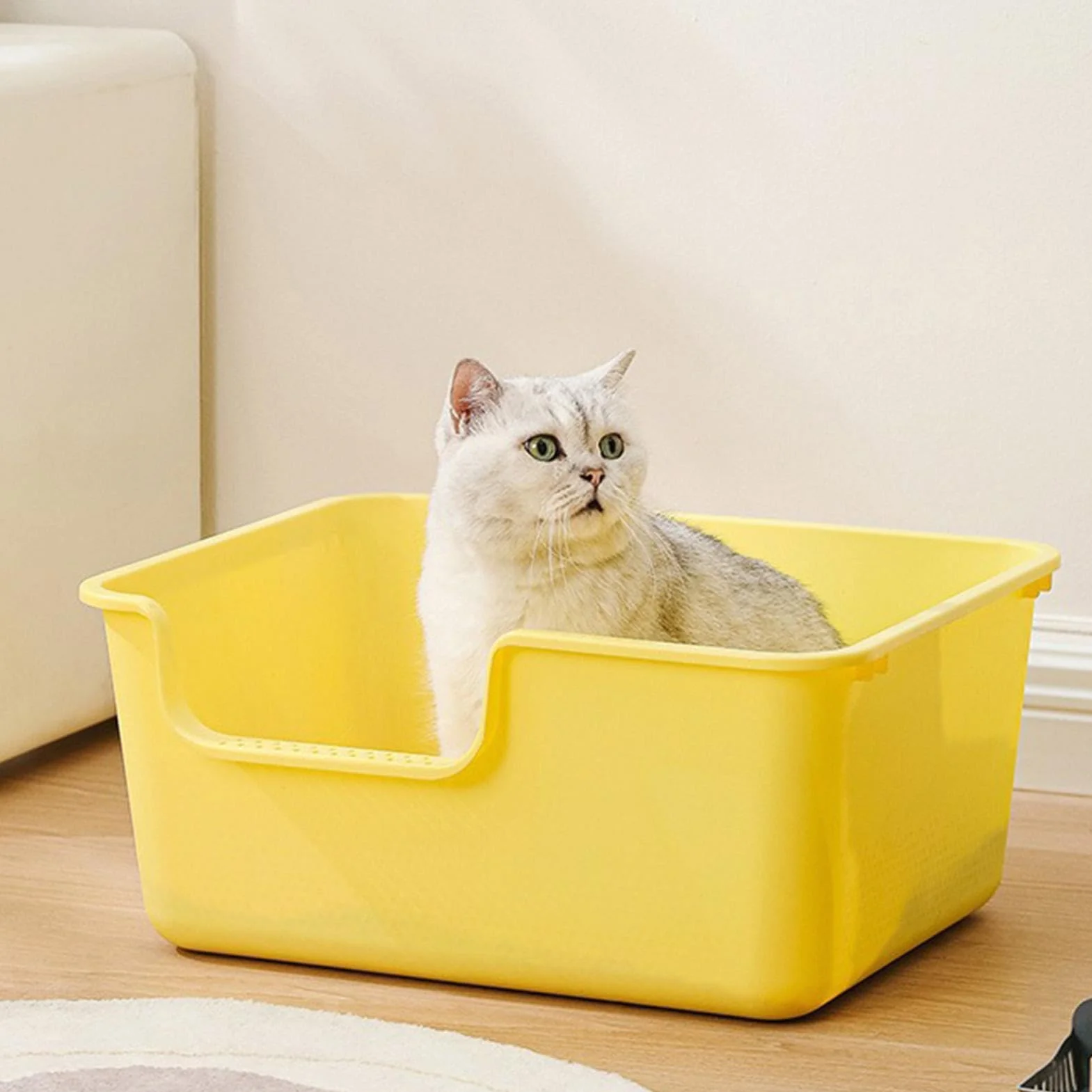 Cat Sand Box - Vassoio per lettiera per gatti | Vassoio per setacciatura della scatola del gatto, box gatto aperto, bacino di animali domestici portatili, cassette a lettiera aperta con pala, vassoio