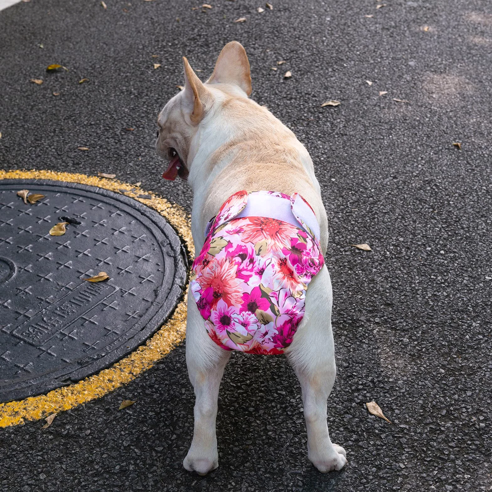 CuteBone Pannolini lavabili per cani Confezione da 3 pantaloni da addestramento per cuccioli per cani con coda agganciata WWD02XL-IT