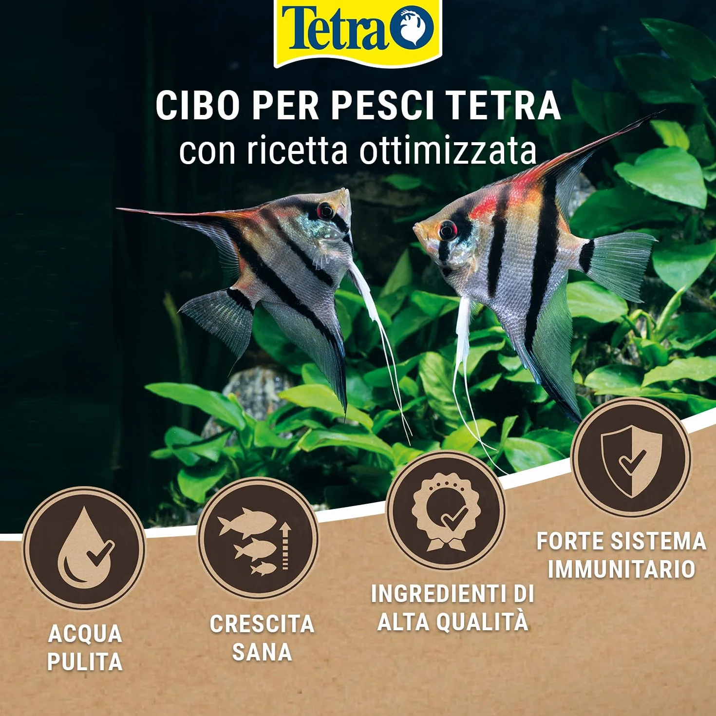 Tetra Discus Granules - Mangime per tutti i pesci disco, favorisce la salute, il colore e la crescita, lattina da 250 ml