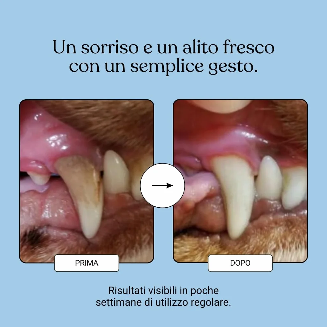 Bau Dental Formula 5 in 1 per Cani 250ml Additivo Acqua Igiene Orale Quotidiana