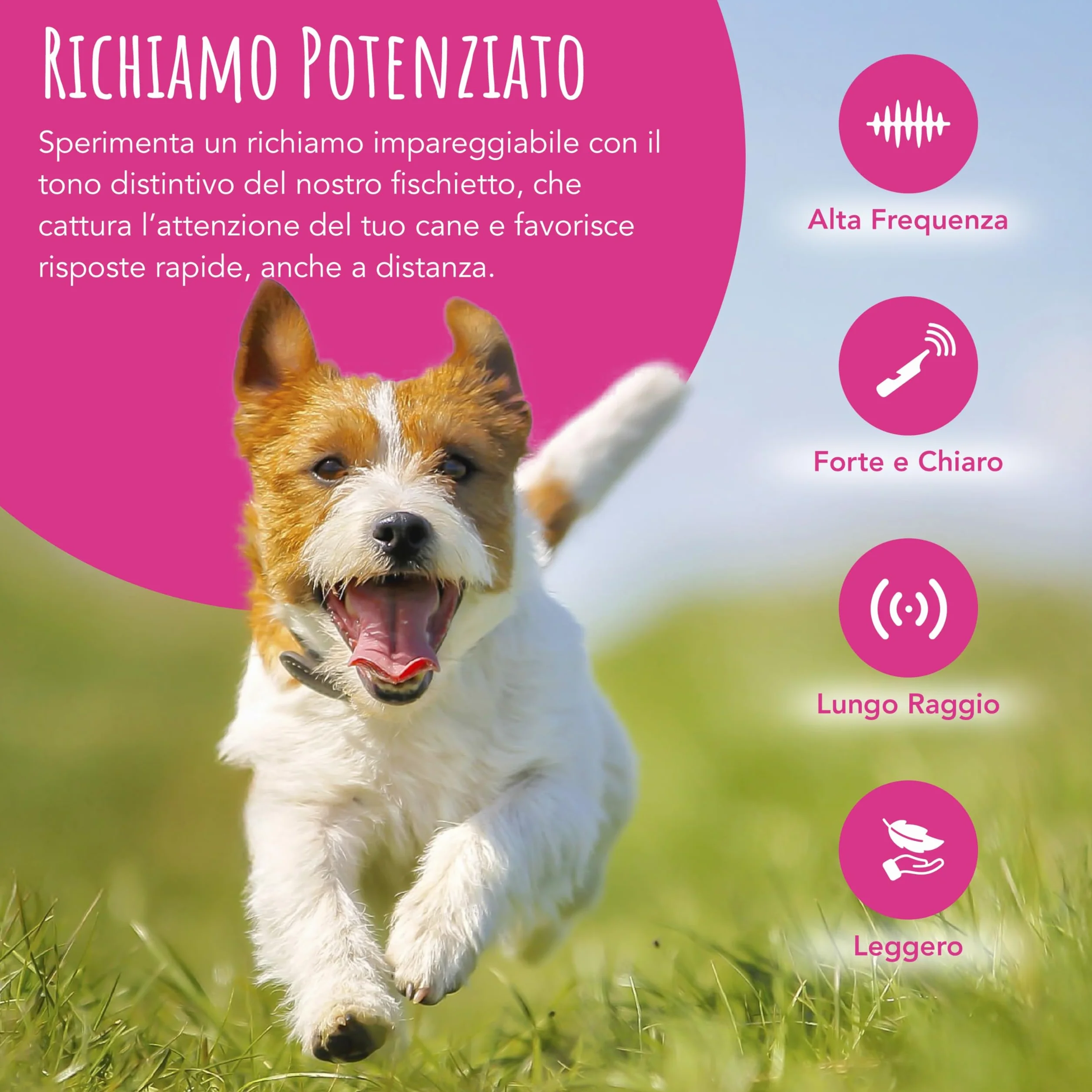 TDL Fischietto per Cani con Cordino – Strumento a Lunga Distanza per Il Richiamo e l’Obbedienza dei Cuccioli – Fischietto da Viaggio con Suono Forte per Tutte Le Razze – Nero con Corda Verde Militare