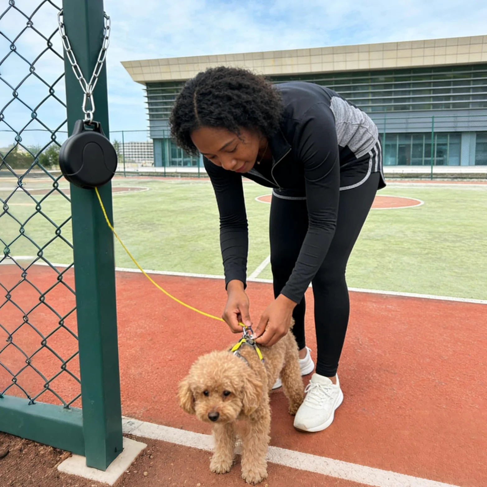 Guinzaglio Estensibile Per Cani Addestramento Animali Resistente | Corda Estraibile per Cani da Parete Per Passeggiate Corsa Escursioni Spiaggia Cortile Giardino Attività All'Aperto