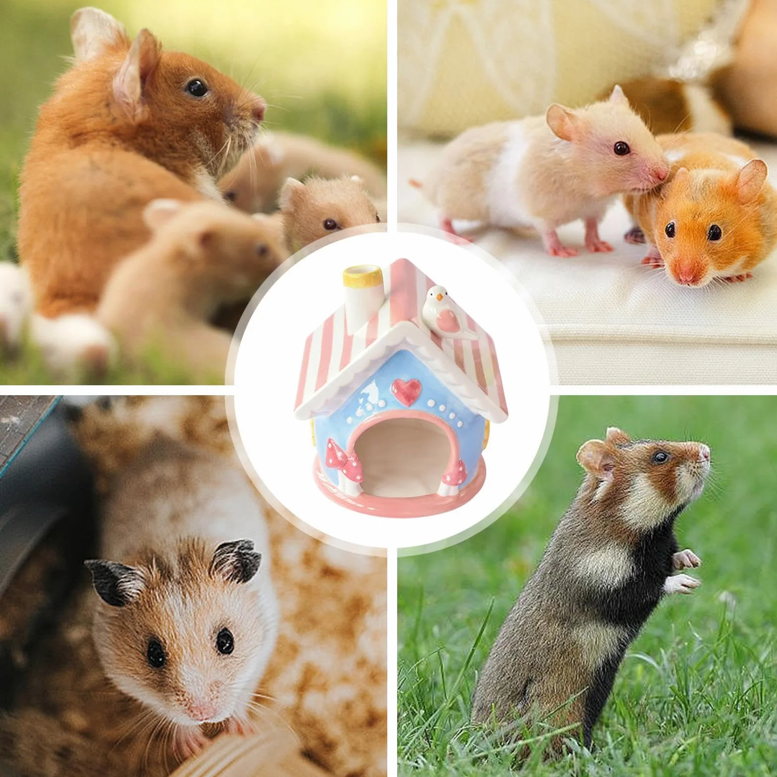 Rifugi Per Criceti Nascondigli Per Animali,Capanna Cincillà E Casa Gerbillo | Ceramica Casette E Gabbia Per Criceti Gerbilli Topi Furetti Cincillà Conigli Per Interno