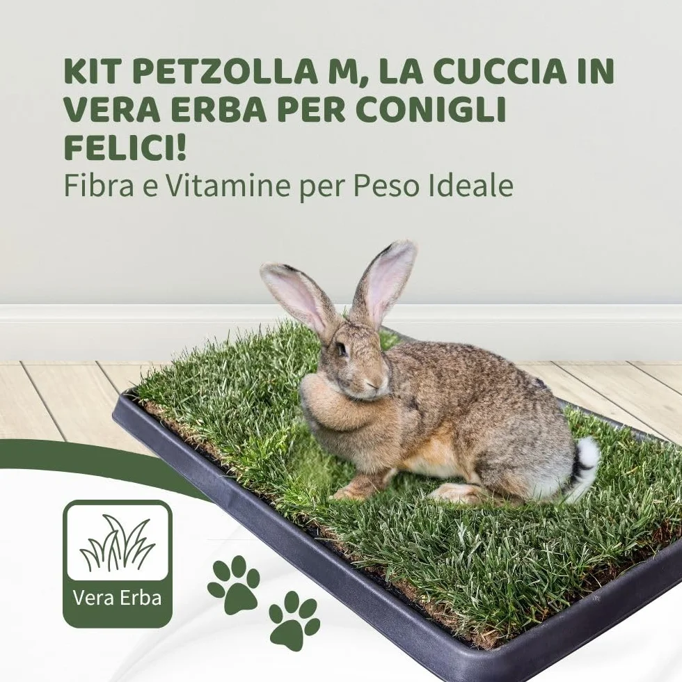 Kit M coniglio Petzolla - Cuccia per conigli estiva in Vera Erba con Vassoio Riutilizzabile 92x52 cm, Lettiera coniglio Naturale e Atossica, Tappeto per conigli da interno dura fino a 5 mesi