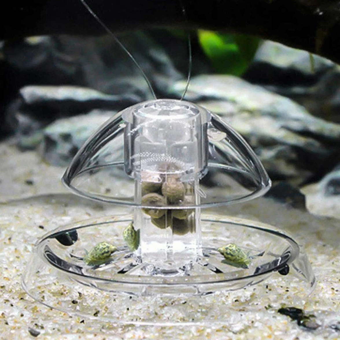2 Pezzi Trappola per Lumache per Acquario Acquario Plastica Trasparente Trappola per Lumache Acquario Piante Planarian Sanguisuga Catcher 6 Cm