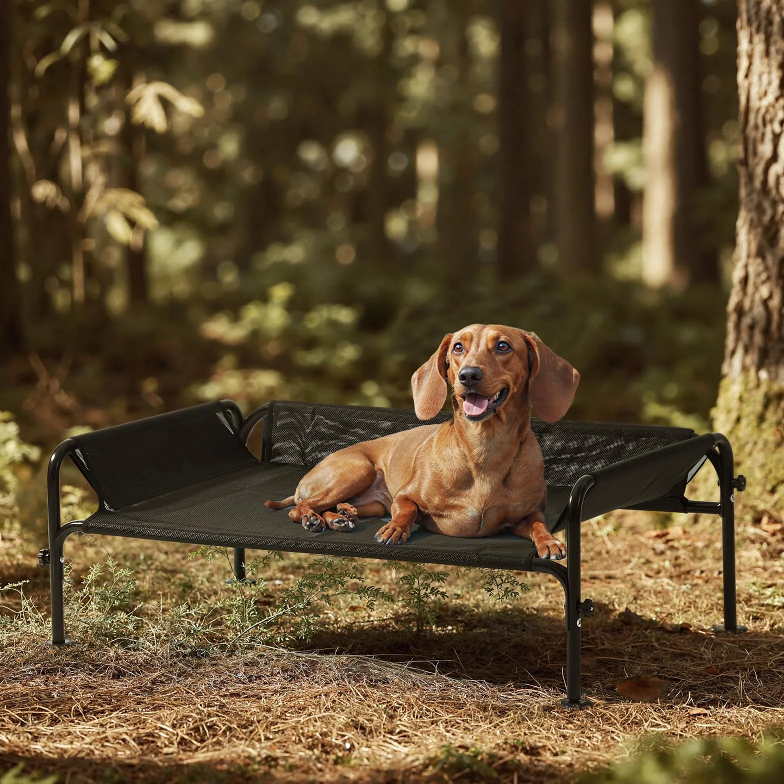 Gardner Pet Letto Rialzato per Cani Grandi e Medii, Brandina Traspirante Esterno-Interno, Cuccia Estiva Antigraffio, Struttura Metallo Nero S