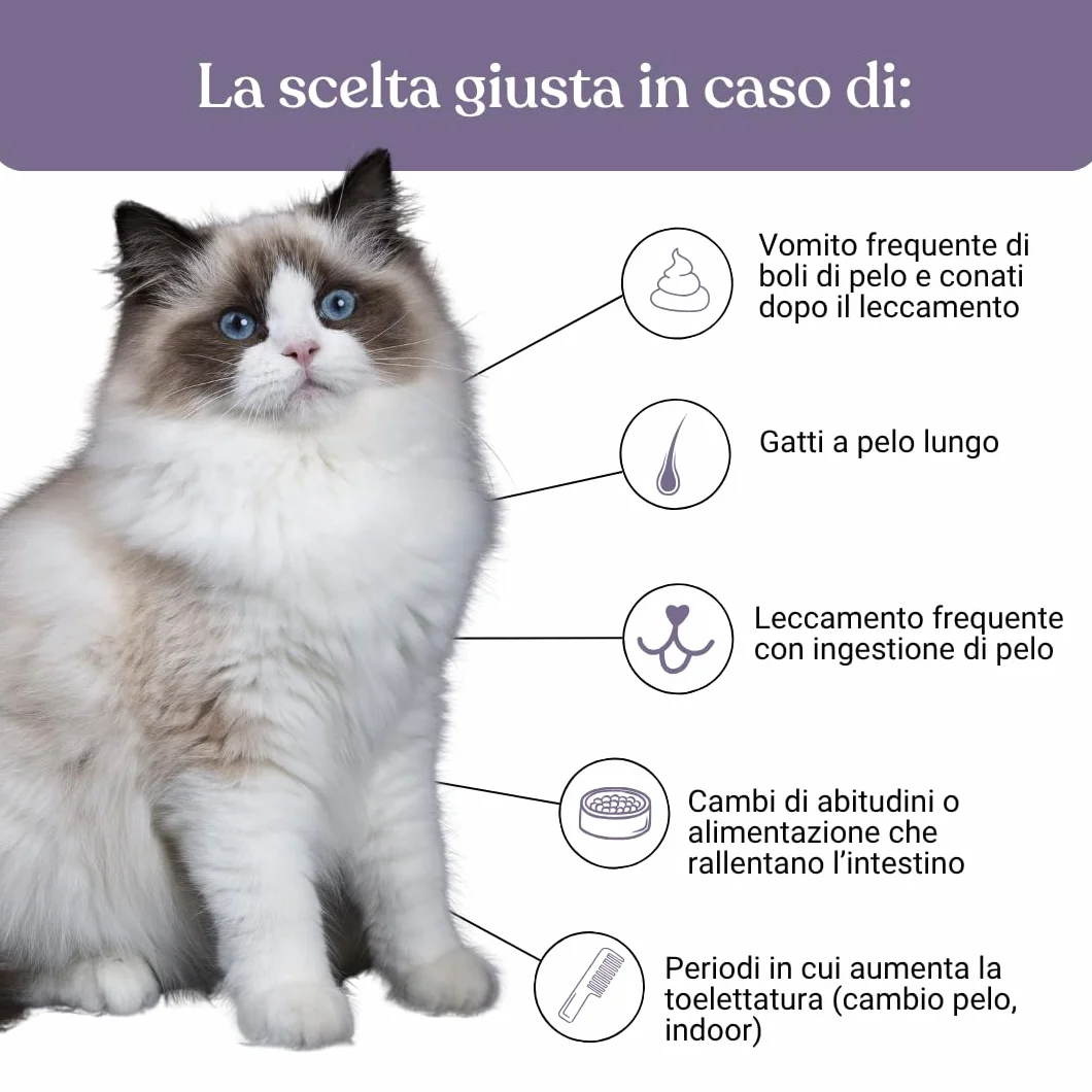 Miào Stop Boli di Pelo Gatto Pasta – Supporto Intestinale per Eliminare Boli di Pelo, Riduce Rigurgiti con Fibre e Psillio, Pasta al Malto per Gatti Bolo di Pelo