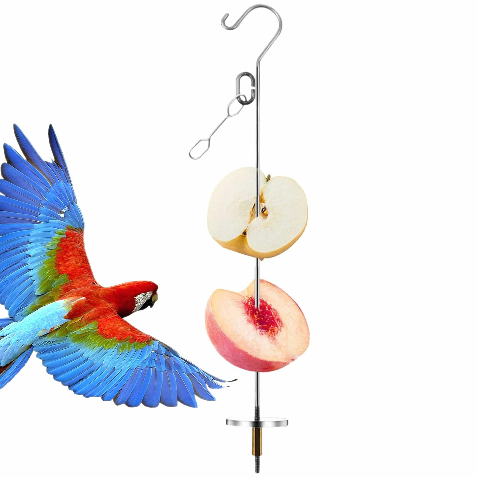 Porta Cibo Per Uccelli, Spiedino In Acciaio Inossidabile Per Pappagalli, Decorazione Interna Gabbia, Giocattolo di Foraggiamento Arricchimento per Animali Taglie Piccole