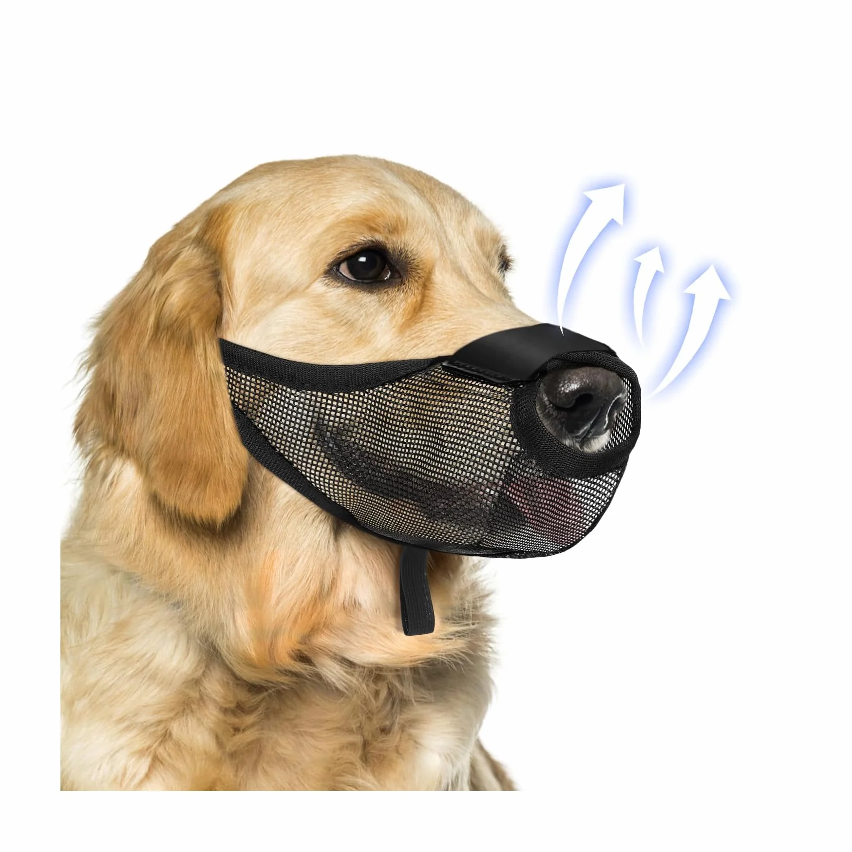 Museruola per Cani, Museruola per Cani Traspirante, Museruola Regolabile per Proteggere dal Abbaiare, per Cani di Taglia Piccola, Media e Grande, Impedisce di Mordere, Leccare e Masticare (Nero-M)