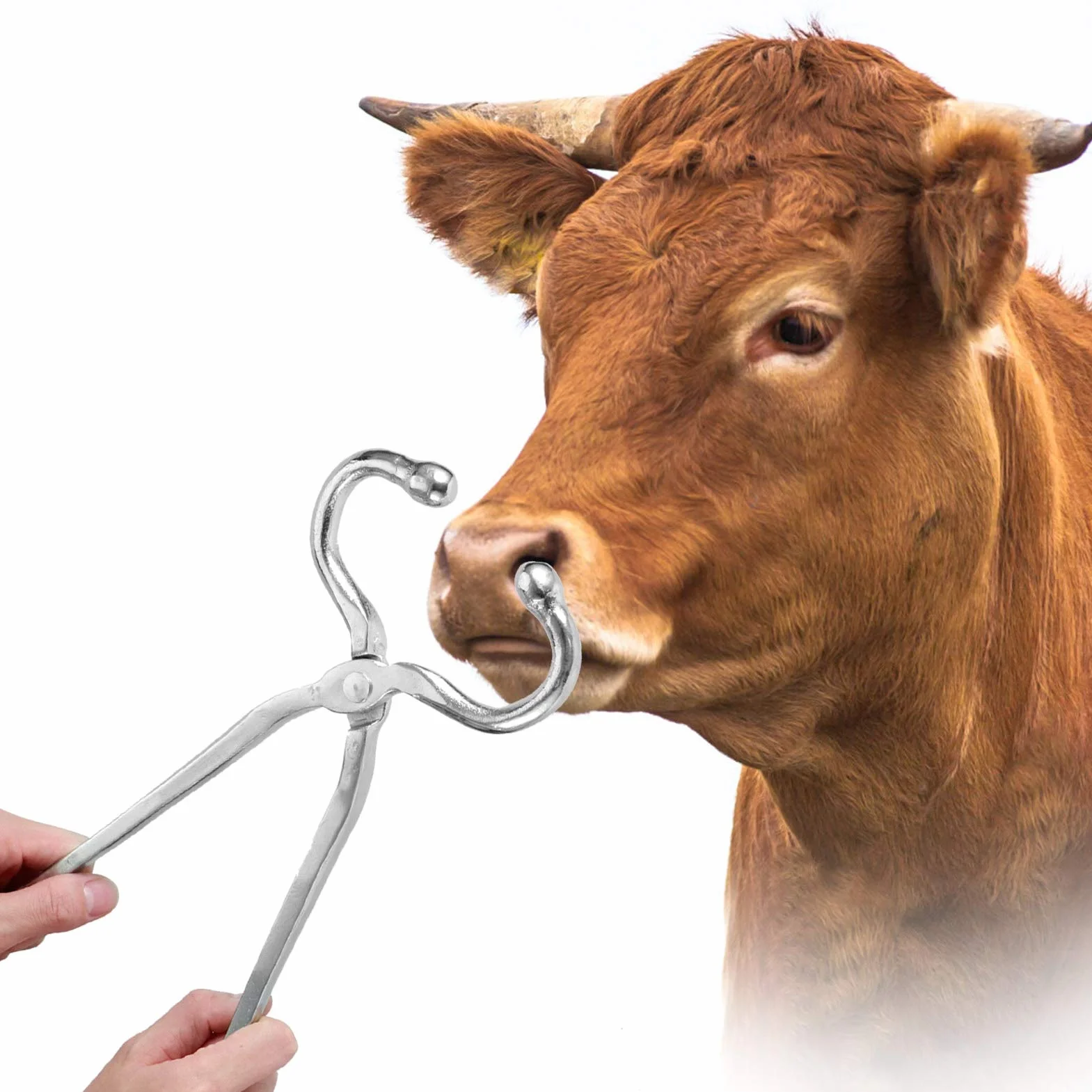 Pinza Nasale per Bovini a Manico Lungo Pinza Nasale a Clip Pratico Accessorio per Bestiame Gestione del Bestiame Bovino E Bovino