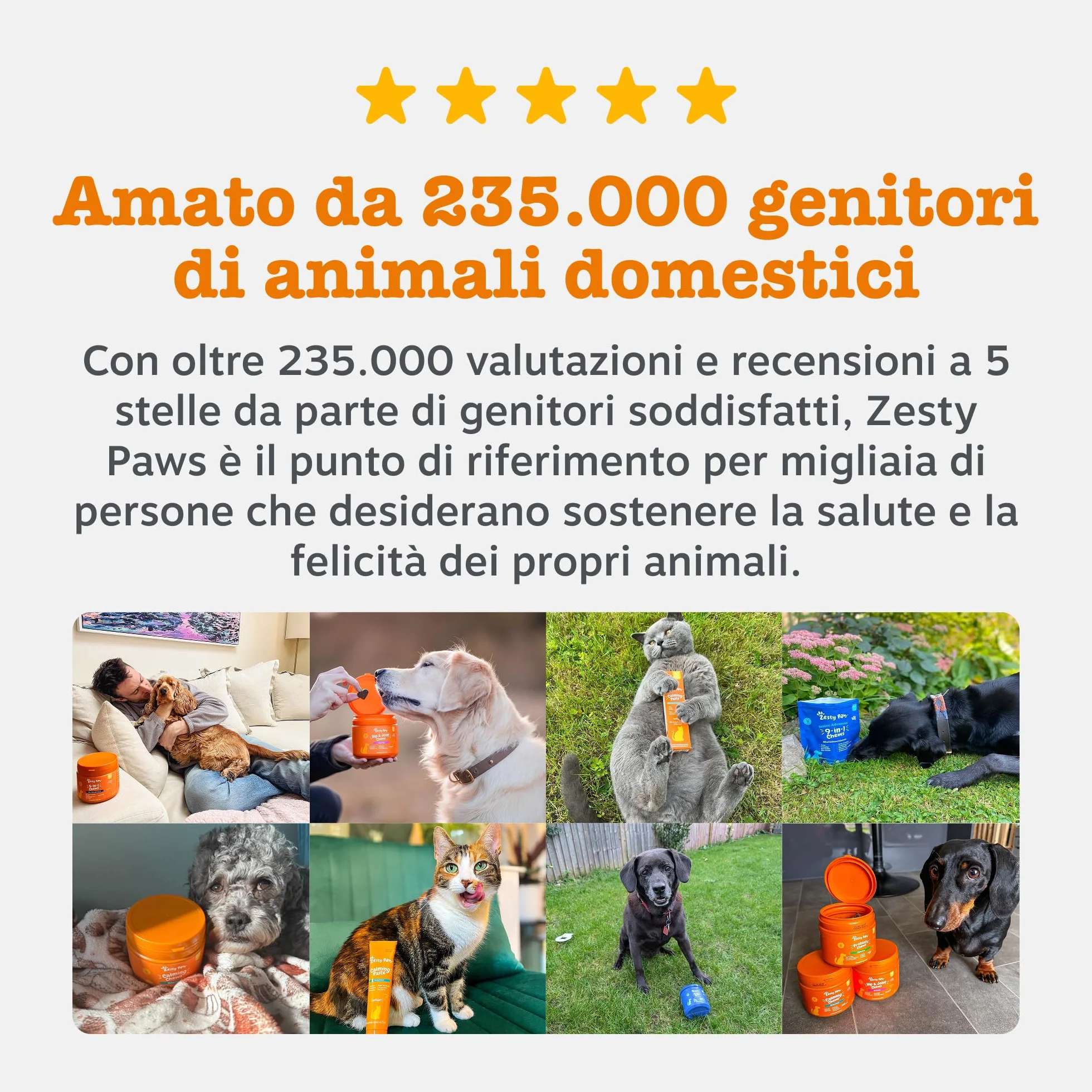 Zesty Paws Digestion & Prebiotic Paste - Digestione - per Gatti – Supporta Salute Intestinale e Sistema Immunitario – con Postbiotici, Inulina, Olio Algale e Vitamine C ed E – Gusto Pesce – 75g