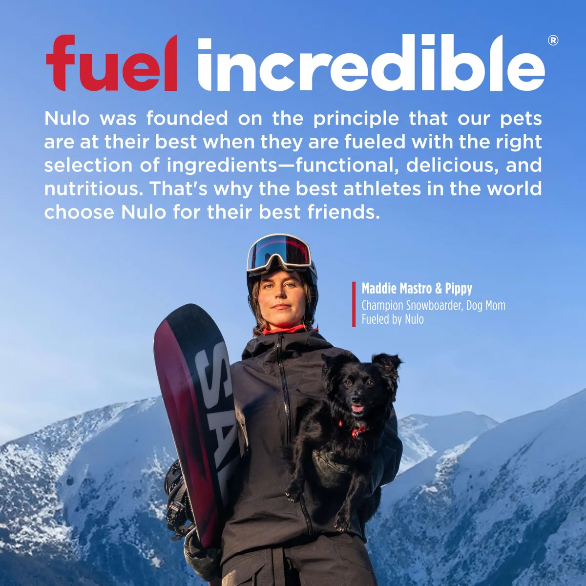 Nulo Grain-Free Canned Dog Food