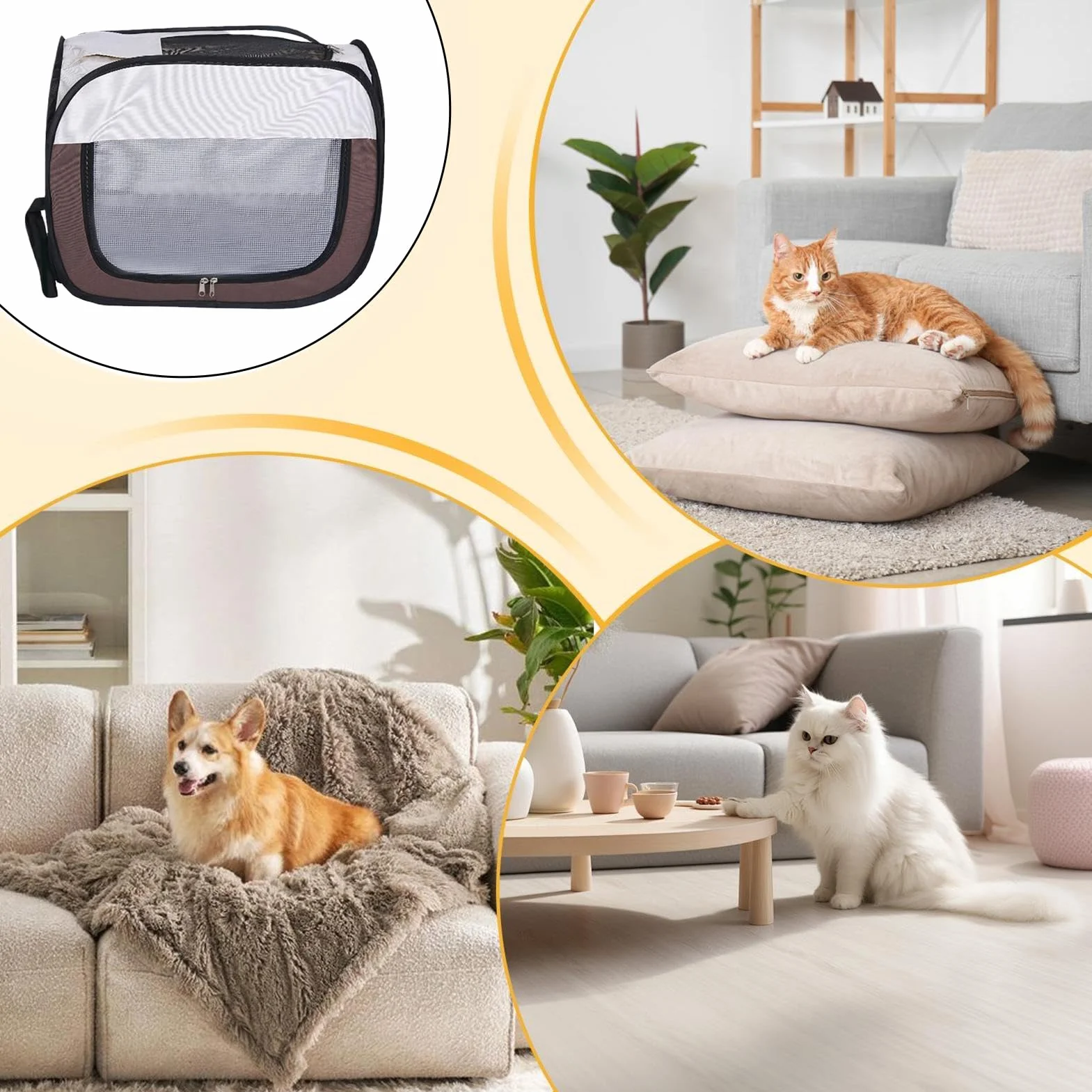Asciugatrice per gatti, asciugatrice per cani e cabine di essiccazione, accessorio impermeabile anti-proiezione di per toelettatura, bagni e pulizia di cuccioli e gatti