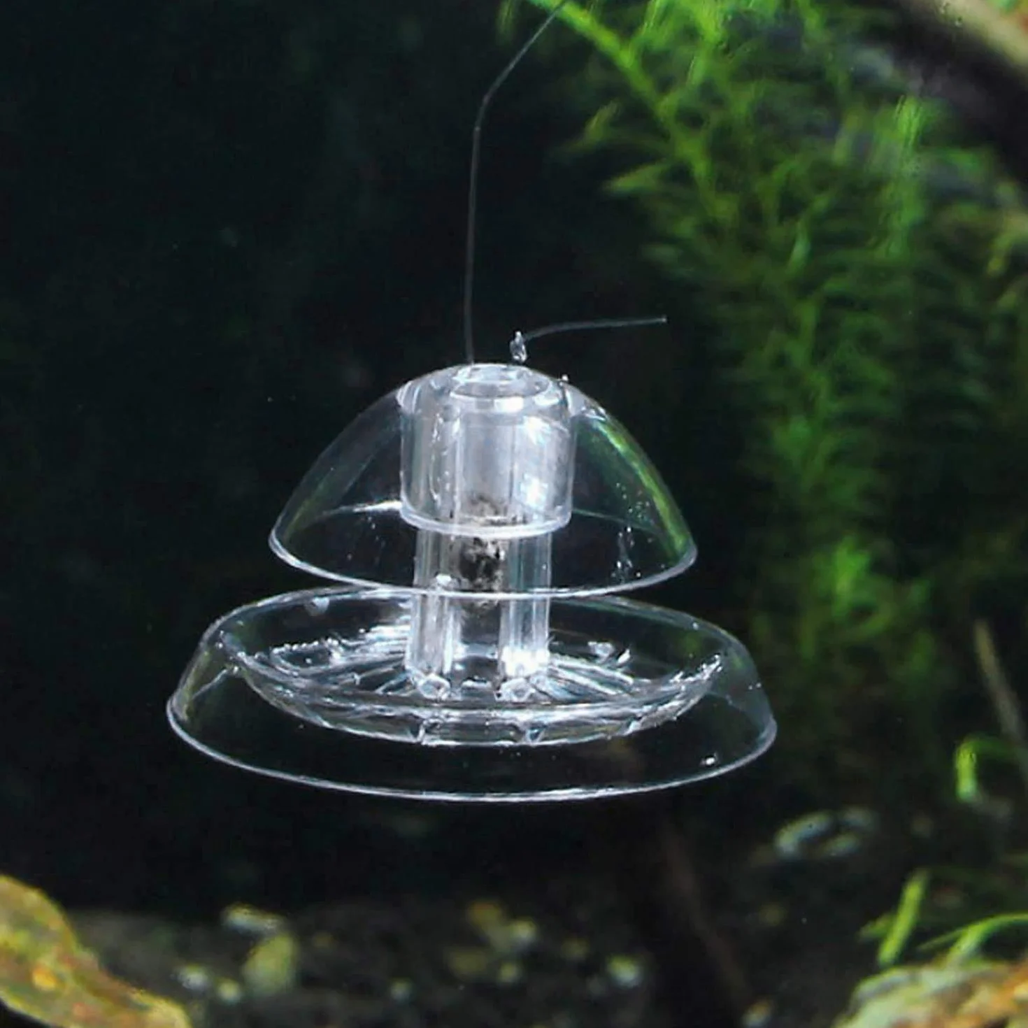 2 Pezzi Trappola per Lumache per Acquario Acquario Plastica Trasparente Trappola per Lumache Acquario Piante Planarian Sanguisuga Catcher 6 Cm