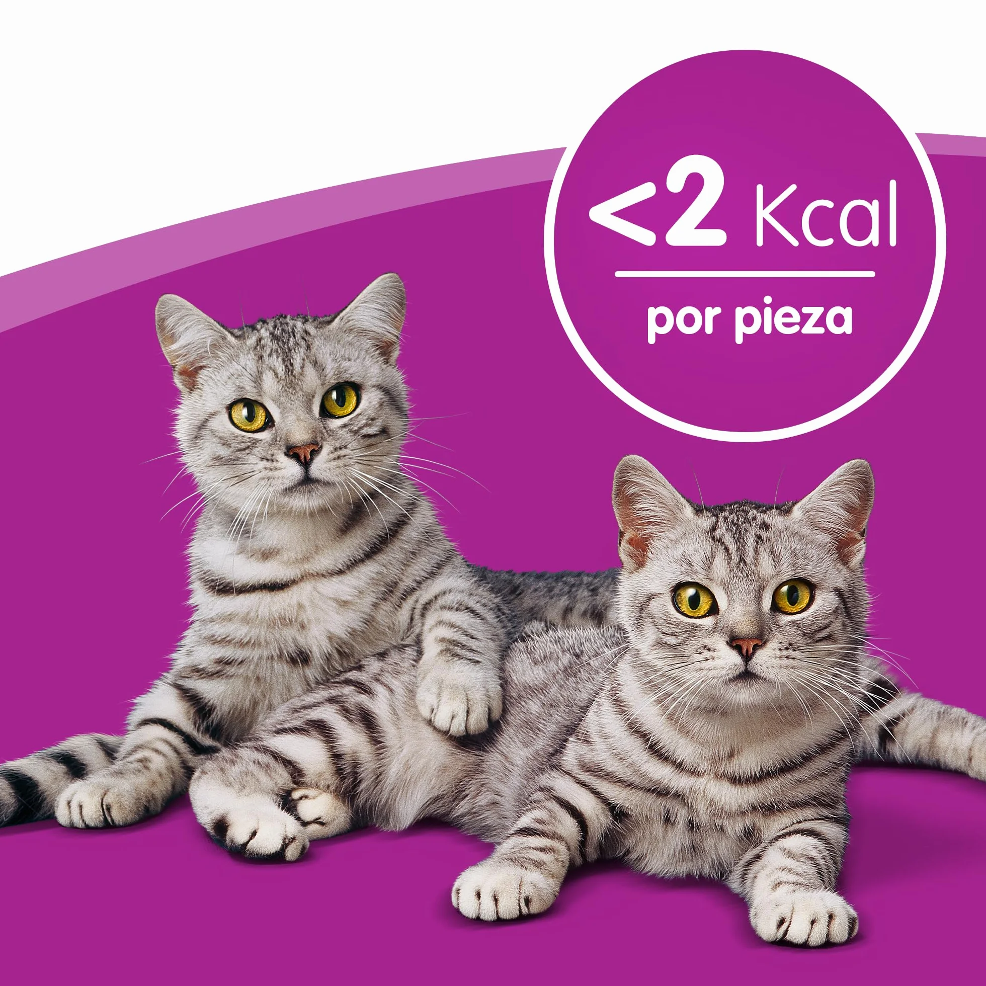 Whiskas Temptations con Salmone 6x60g