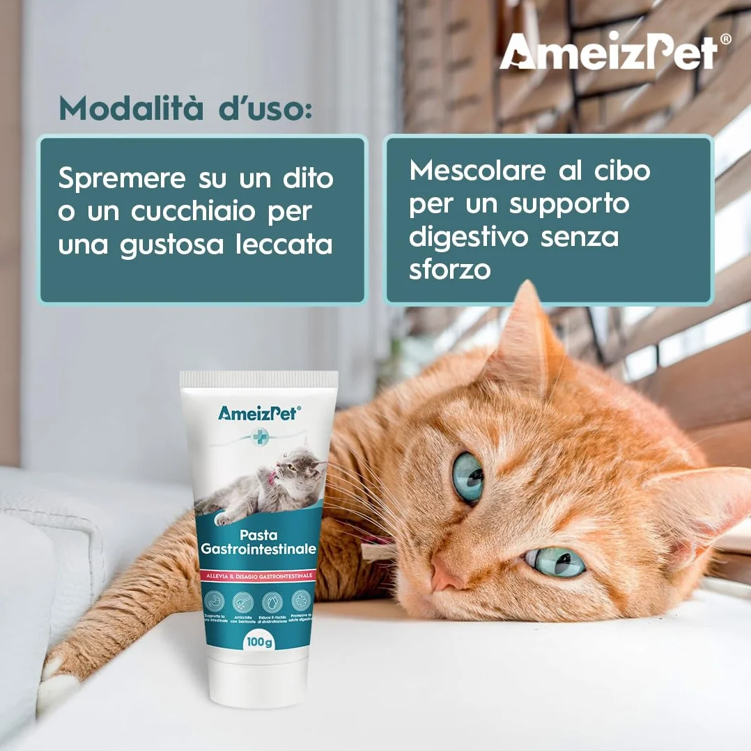 AmeizPet Pasta Gastrointestinale per Gatti, Supporto Gastrointestinale per la Salute Intestinale e la Flora Batterica, Integratore Digestivo per Gatti e Gattini, 100g (3.53 Oz)