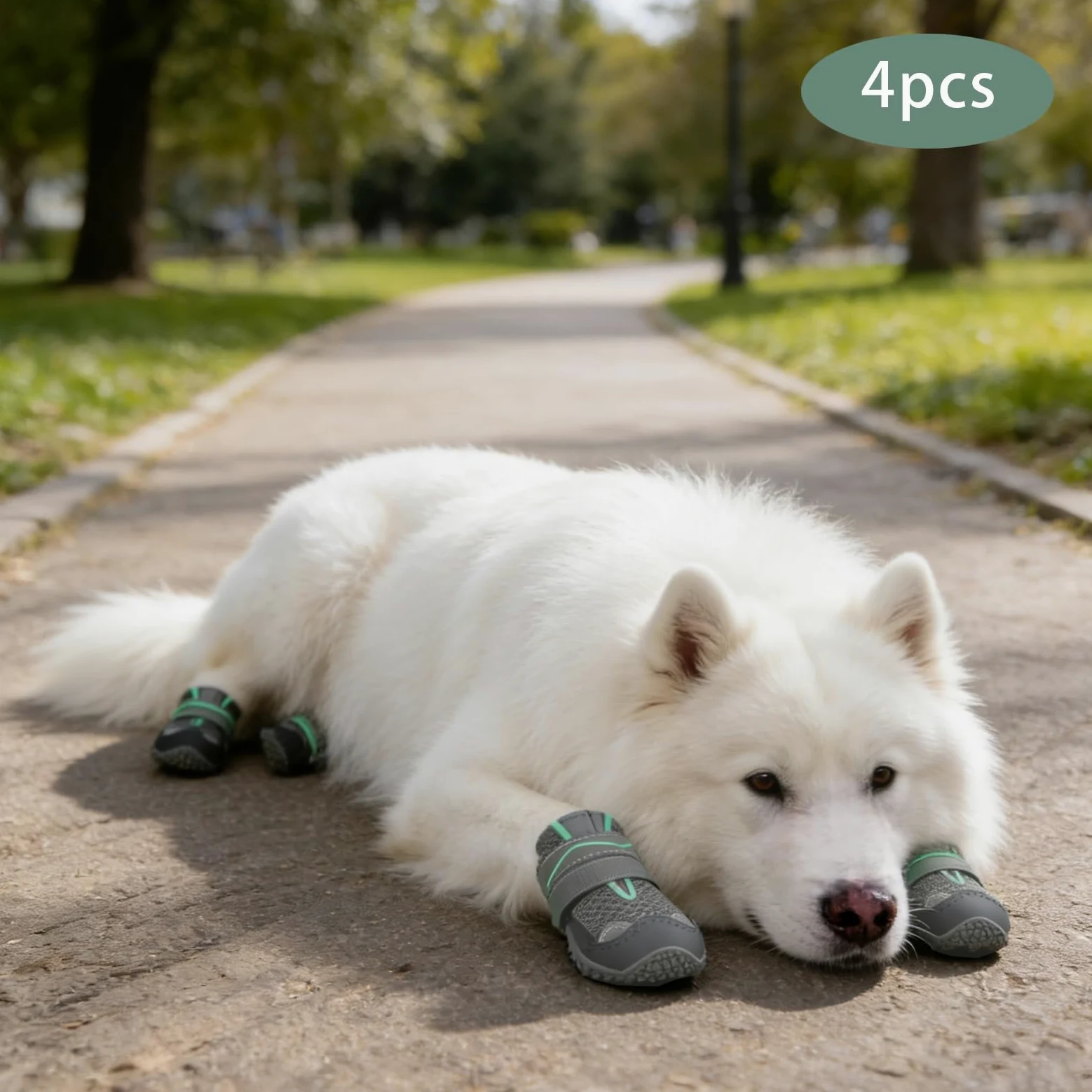 Calzini antiscivolo per cani, scarpe da cane, 4 pezzi, 5,5 cm | Stivali Cane,Poliestere Pelle Gomma,con Strisce Riflettenti Traspirante,Per Passeggiata,Cani Piccoli,Cani Medii